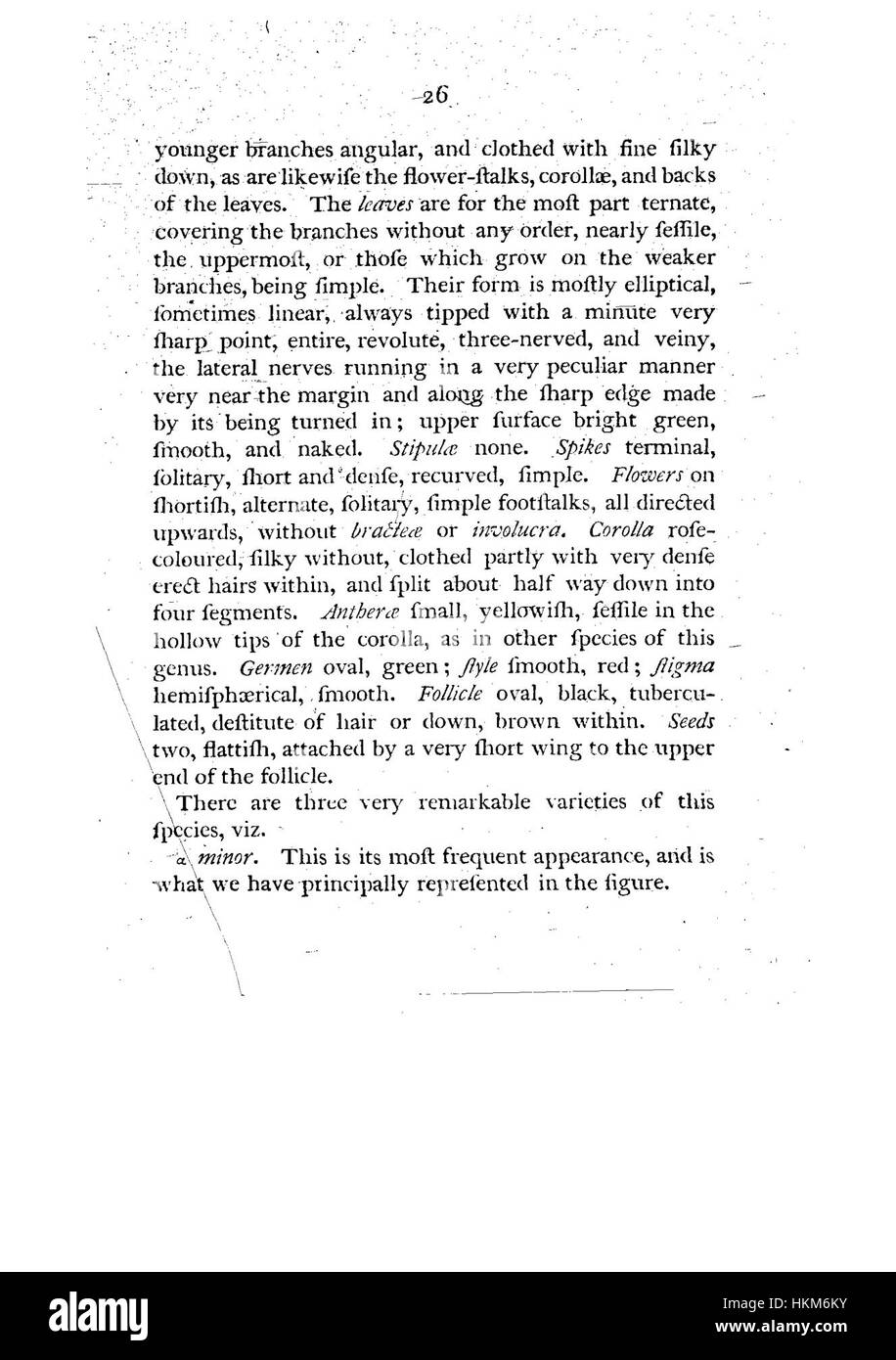 Cette illustration botanique tirée de « A Specimen of the Botany of New Holland » représente la flore australienne indigène, mettant en valeur les diverses espèces végétales de la région. L'œuvre met en évidence la précision et le détail de l'art botanique du XIXe siècle, contribuant à la compréhension de la végétation unique de l'Australie. Banque D'Images