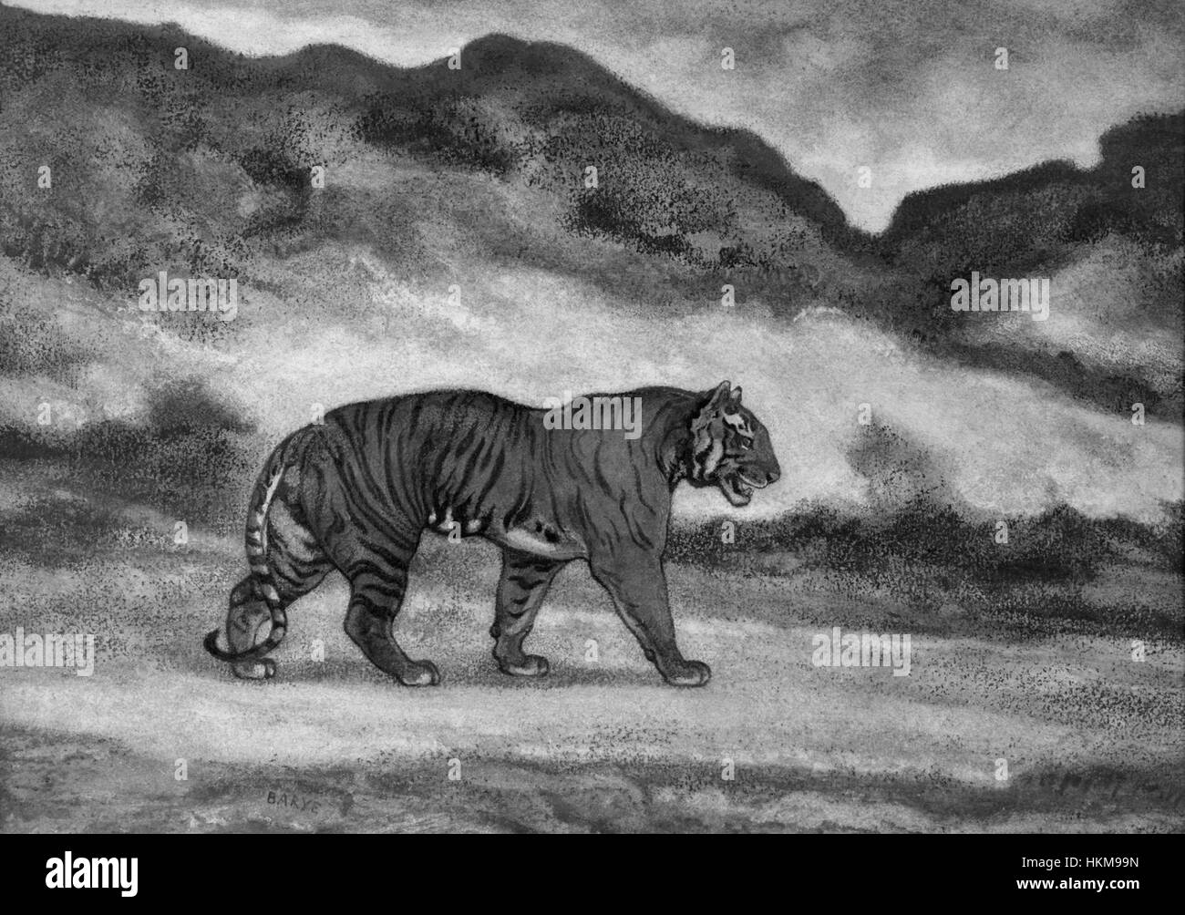 Sculpture en bronze d'Antoine-Louis Barye, « Tiger Walking », qui illustre la maîtrise de l'artiste dans la capture du mouvement et de l'anatomie des animaux, est conservée au Walters Art Museum. Banque D'Images