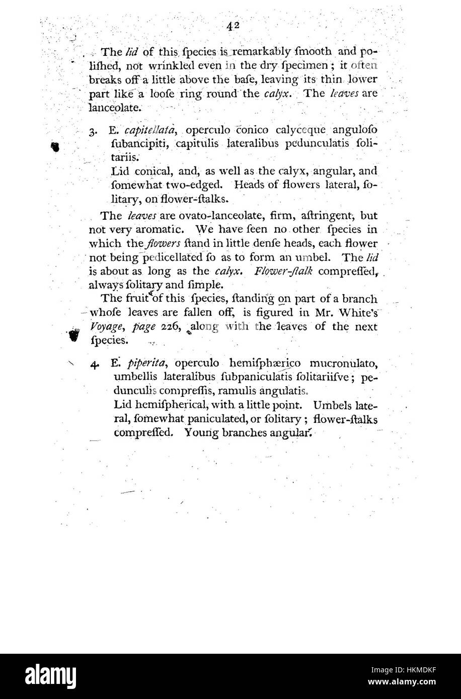 Cette illustration botanique tirée de « A Specimen of the Botany of New Holland » présente une espèce végétale originaire d'Australie. Le dessin détaillé fait partie d'une collection plus vaste qui met en valeur la flore unique de la Nouvelle-Hollande (aujourd'hui l'Australie), contribuant aux premières études botaniques de la vie végétale du continent. Banque D'Images