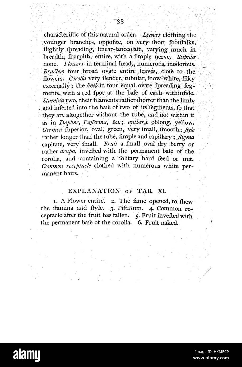 Cette page tirée de 'A Specimen of the Botany of New Holland' illustre les espèces végétales originaires d'Australie, montrant leurs caractéristiques distinctives. Le travail est une référence clé pour les études botaniques dans les premières explorations de la flore australienne au XIXe siècle. Banque D'Images