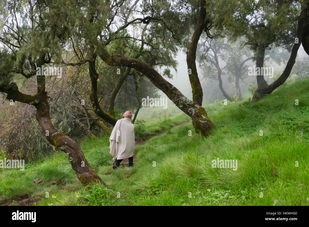 Les gens qui marchent dans la forêt, montagnes du Simien, Ethiopie Banque D'Images