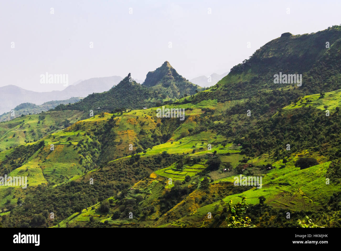Paysage de montagnes du Simien, Ethiopie Banque D'Images