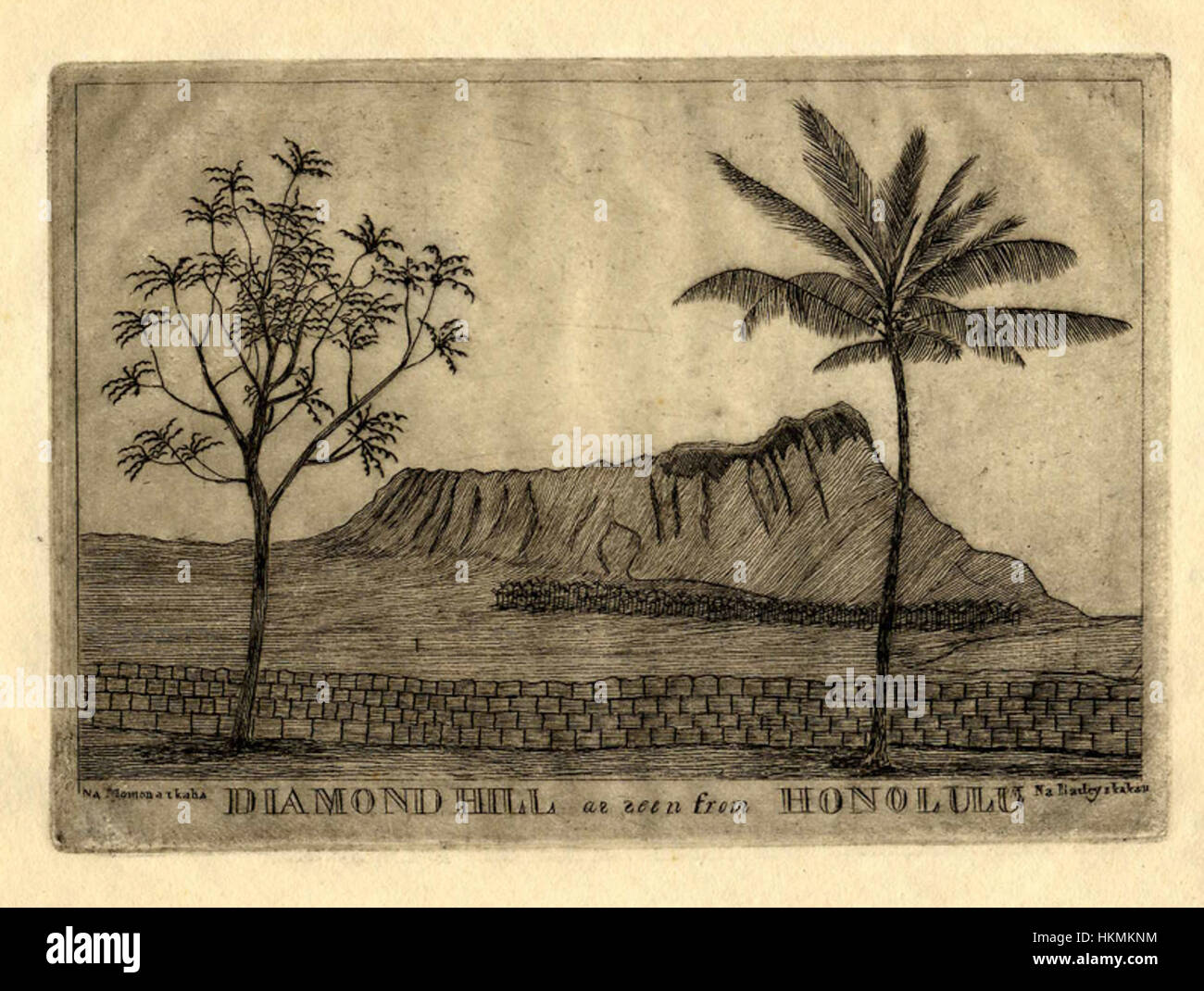 Gravure d'Edward Bailey, créée dans les années 1850, représentant une vue de Diamond Hill depuis Honolulu. La gravure sur plaque de cuivre souligne la beauté naturelle et les caractéristiques géographiques d'Hawaï. Banque D'Images