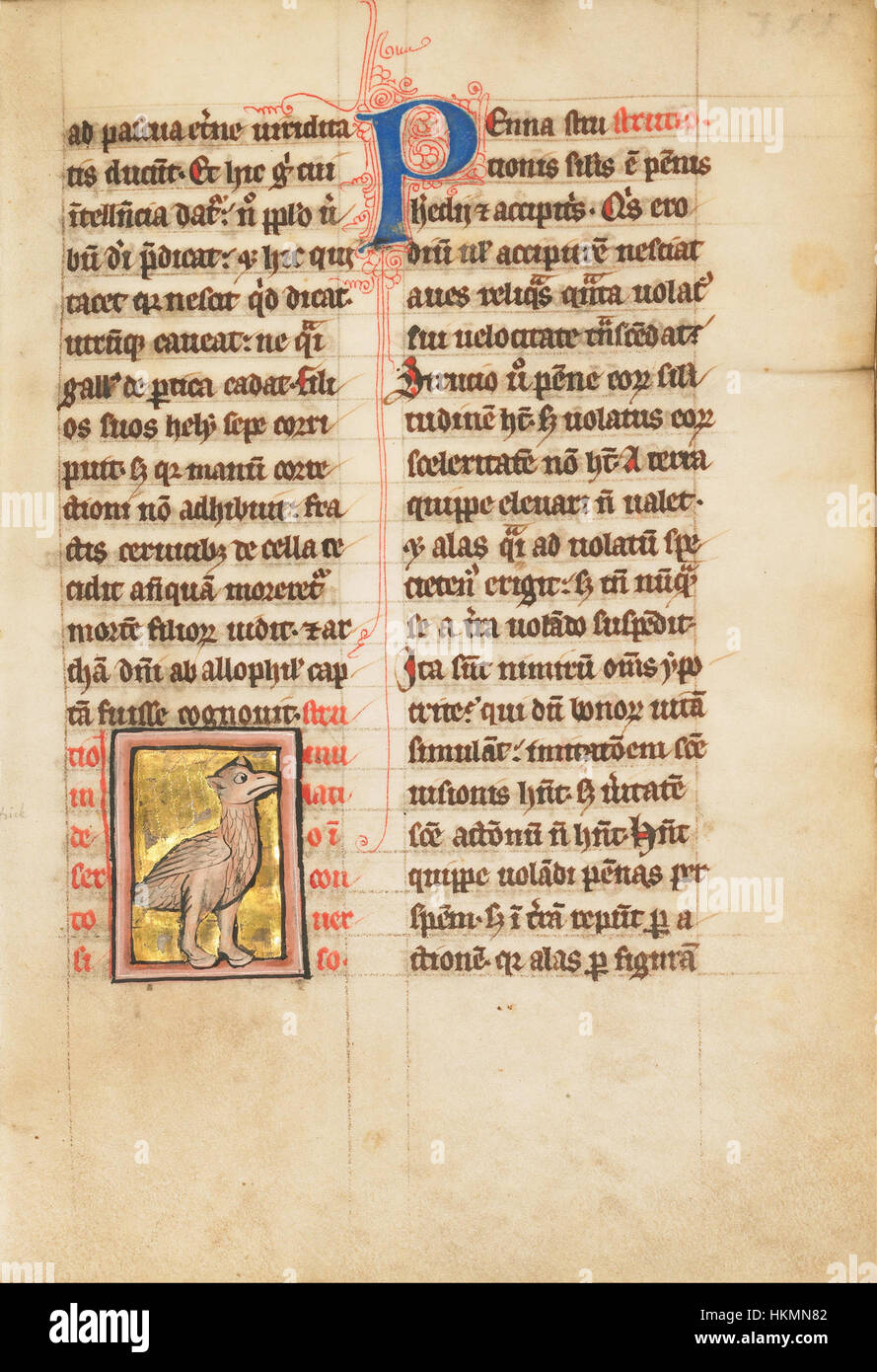 Cette œuvre intitulée 'an Ostrich' fait partie de la collection Google Art Project. La peinture capture l'oiseau majestueux avec une précision naturaliste, mettant en valeur ses traits distinctifs et sa posture. Banque D'Images