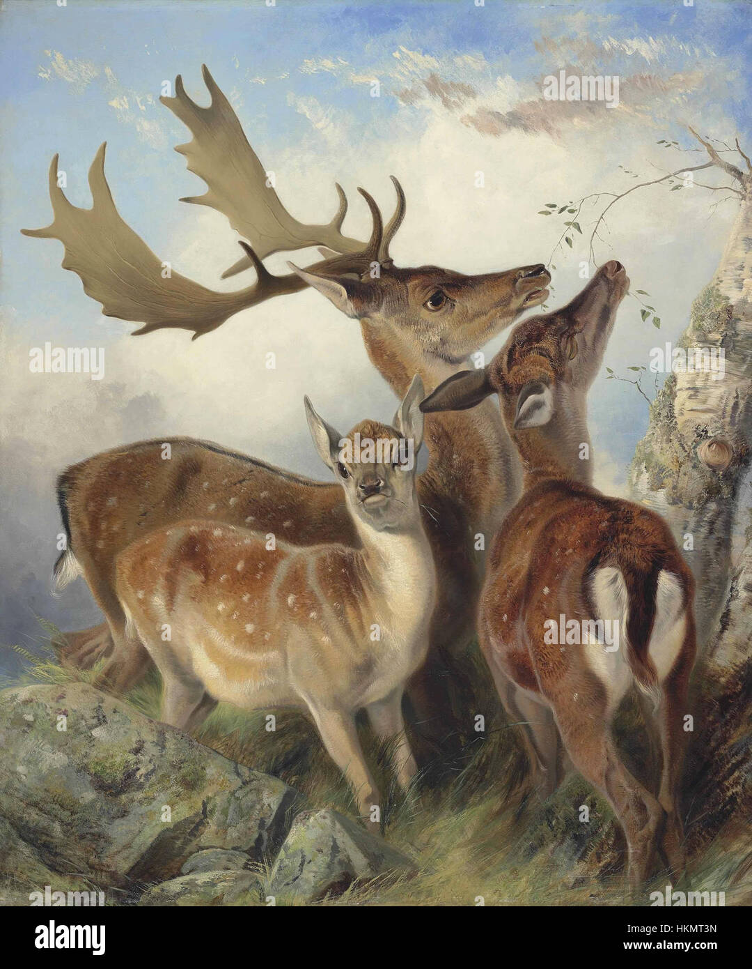 Le tableau de Richard Ansdell de 1855 « Fallow Deer » représente une scène forestière paisible, mettant en valeur une paire de cerfs dans leur habitat naturel. L'artiste est connu pour ses études animales détaillées et sa capacité à capturer la beauté de la faune dans un style naturaliste. Banque D'Images