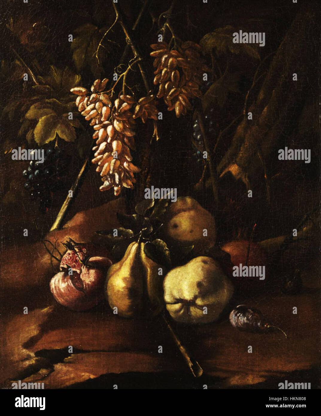 La peinture de natures mortes de Michelangelo Cerquozzi présente une collection de fruits, montrant son habileté à capturer les textures et les détails des éléments naturels. Cette œuvre reflète l'accent mis par l'époque baroque italienne sur le réalisme et l'appréciation des objets du quotidien. Banque D'Images