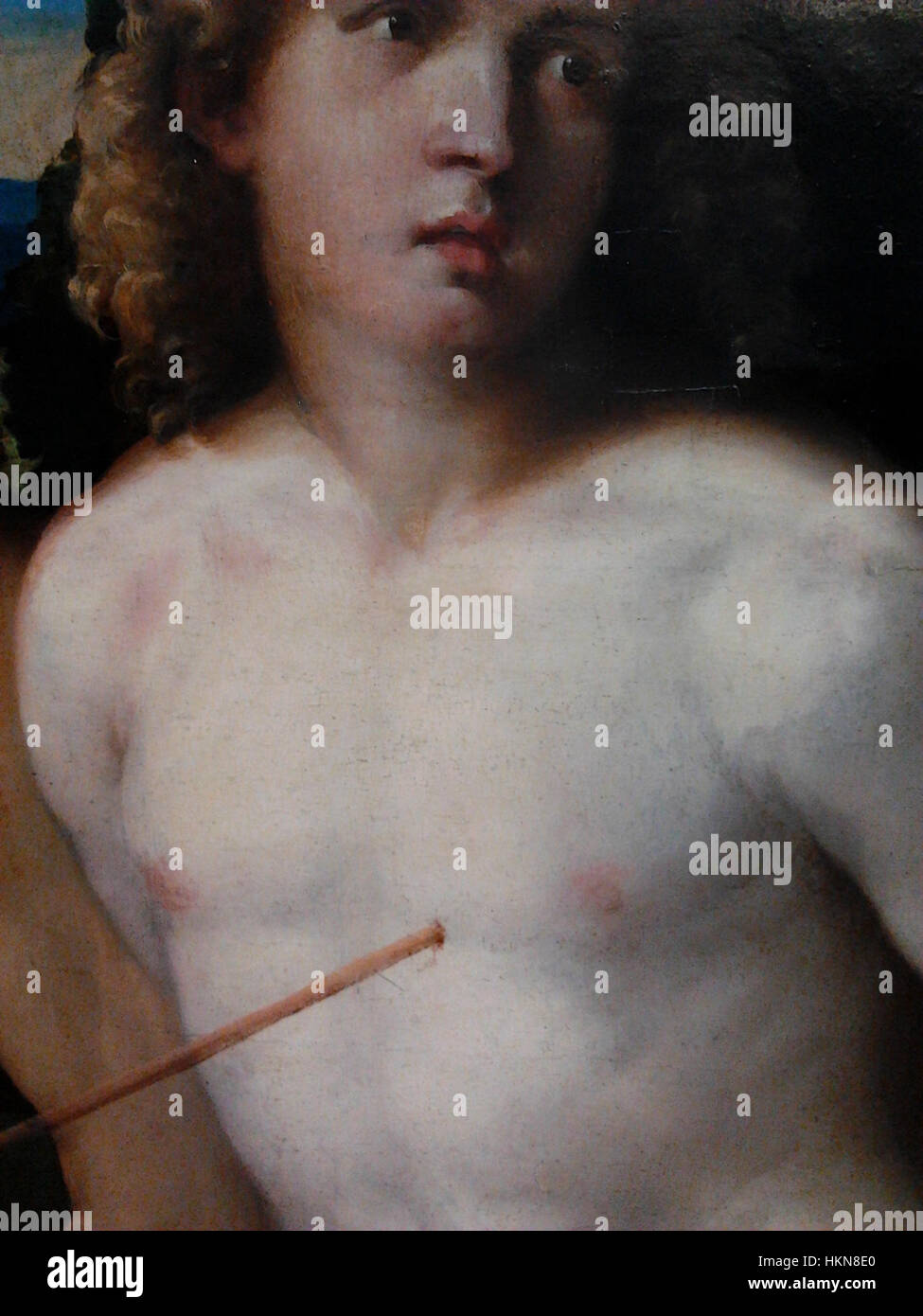 La Sacra Conversazione de Palma Vecchio est un chef-d'œuvre de la Renaissance qui capture une scène religieuse, avec des représentations détaillées des saints et de la Vierge. Ce détail particulier met en évidence l'utilisation par l'artiste de la couleur et de la composition typiques de la Renaissance vénitienne Banque D'Images