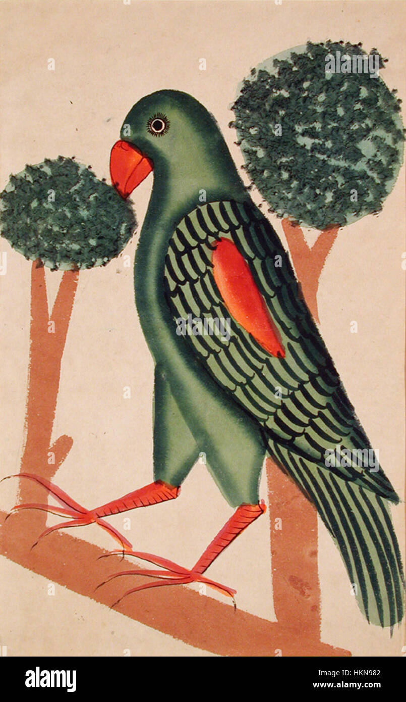 Cette œuvre d'art présente une représentation détaillée d'un perroquet, capturant ses couleurs vives et ses plumes complexes. La peinture met en valeur la beauté et la nature exotique de l'oiseau, démontrant l'habileté de l'artiste à dépeindre la vie animale. Banque D'Images