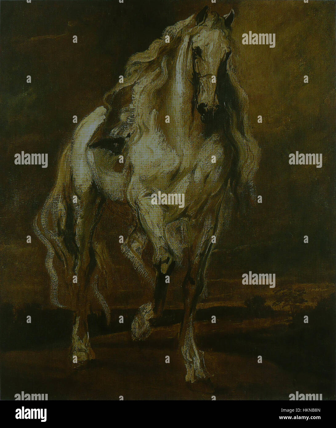 *Study of a Horse* d’Anthony van Dyck reflète sa maîtrise des études animales, mettant en valeur la forme détaillée et l’anatomie des chevaux. Cette pièce fait partie de son travail plus vaste consacré à l'étude des animaux et des figures. Banque D'Images