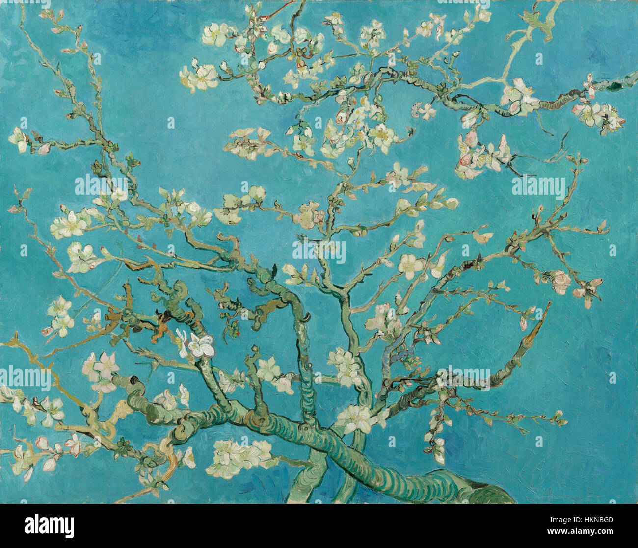 Cette pièce, intitulée 'Amandelbloesem' (fleur d'amande), créée en 1962, est conservée au musée Van Gogh. Il représente l'approche distinctive de Van Gogh de la couleur et du pinceau, reflétant son influence sur le post-impressionnisme. Banque D'Images