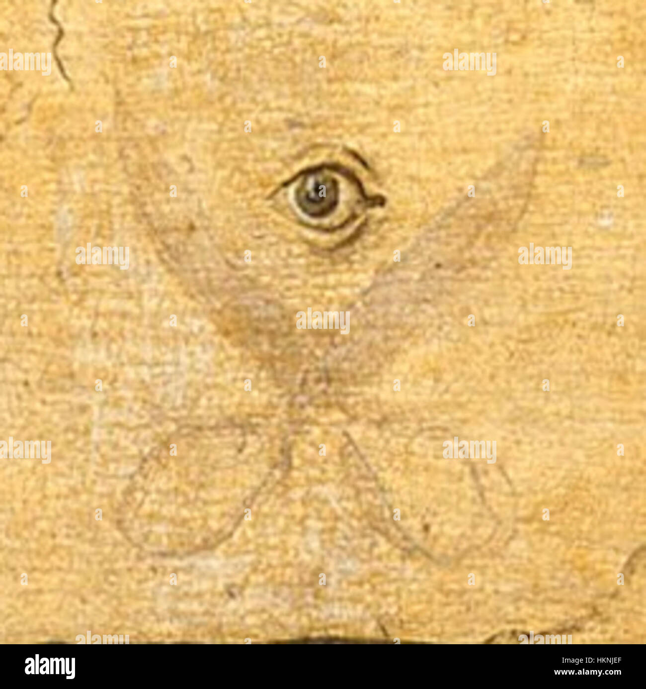 Cette peinture à l'huile du XVIIIe siècle intitulée « Auge und Schere » (yeux et ciseaux) présente une composition fascinante axée sur l'imagerie symbolique. L'œuvre met en évidence l'utilisation de détails et de contrastes précis, typiques du style artistique de l'époque. Banque D'Images