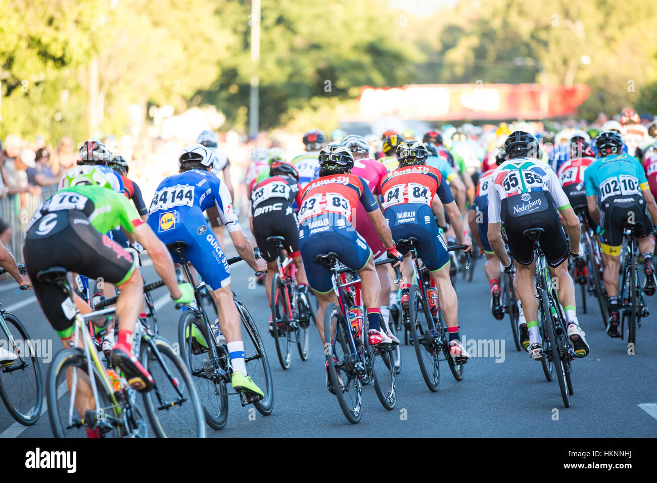 Coureurs pendant l'Classic prologue du Tour Down Under 2017 dans les rues d'Adélaïde, Australie Banque D'Images