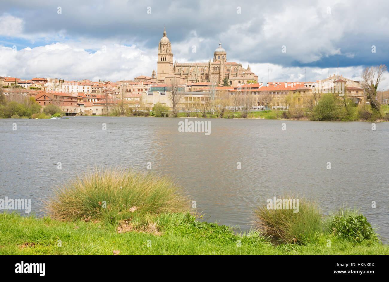 Salamanca - la ville, la cathédrale et le Rio Tormes river. Banque D'Images