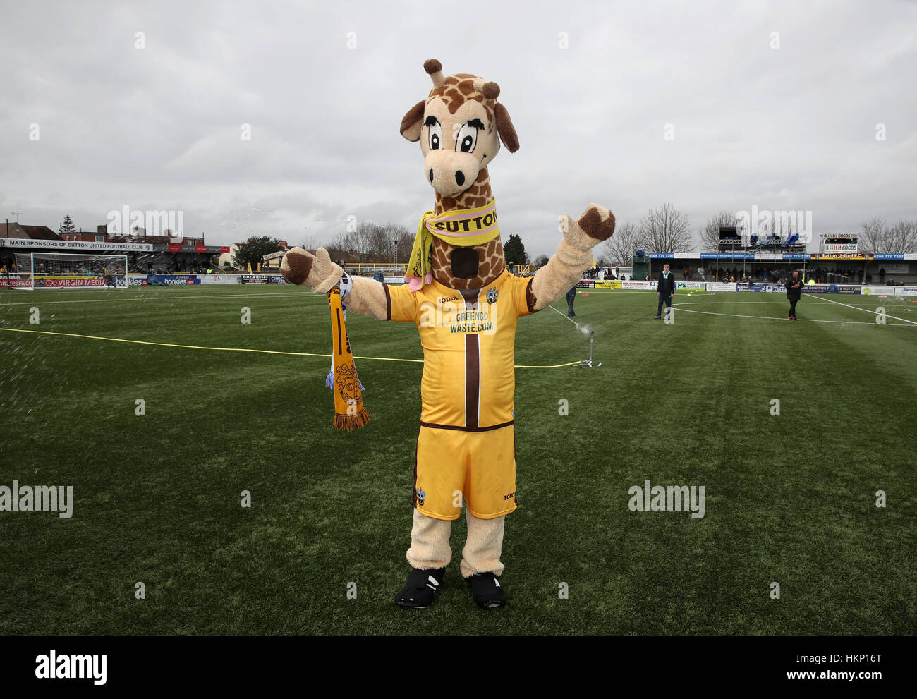 Sutton United mascot Jenny la girafe au cours de l'Emirates en FA Cup, 4ème tour à Gander Green Lane, London. Banque D'Images