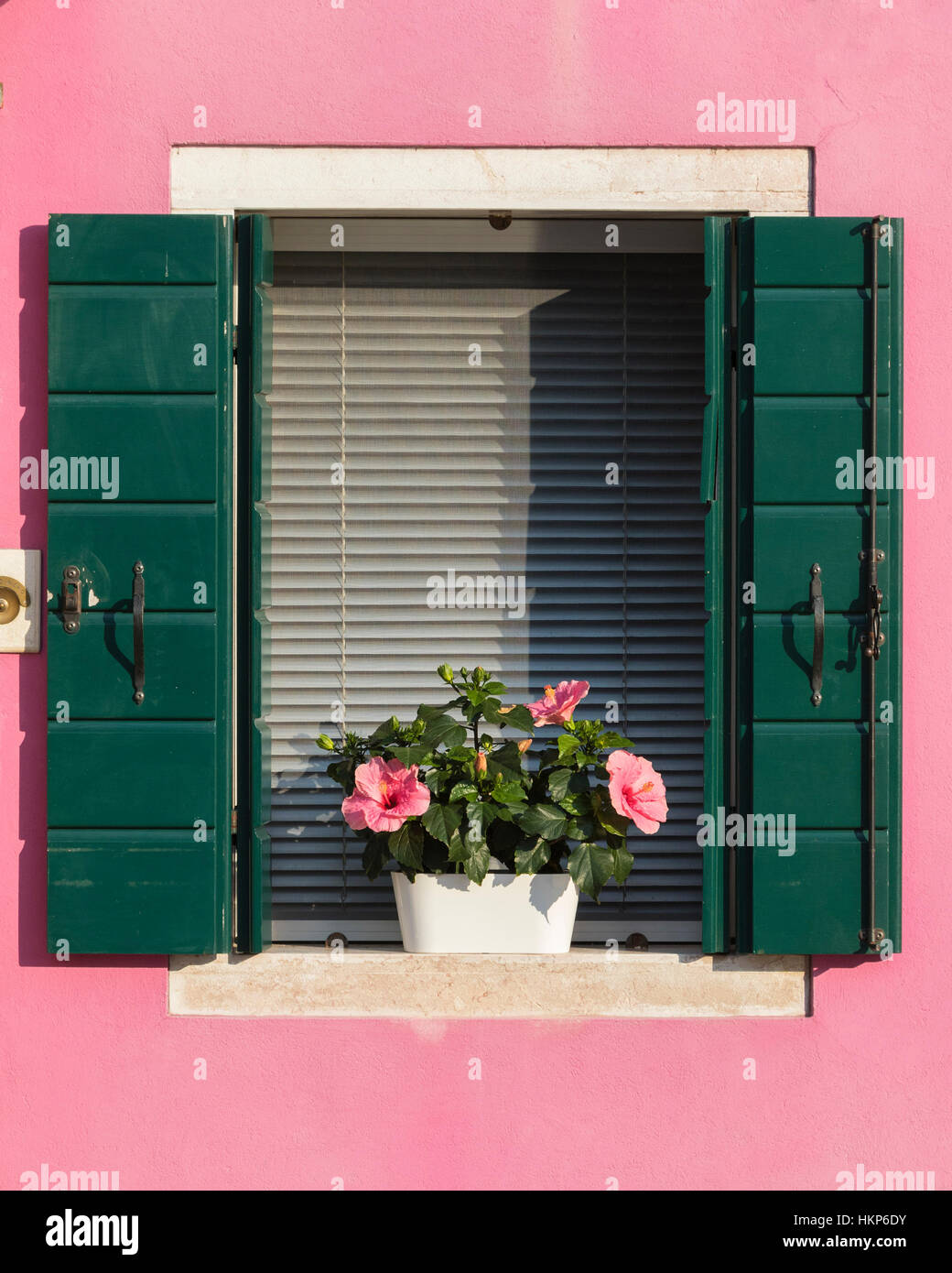 Une façade de maison à Burano Italie, avec une fenêtre avec des volets de bois vert et une belle floraison rose en pot Banque D'Images