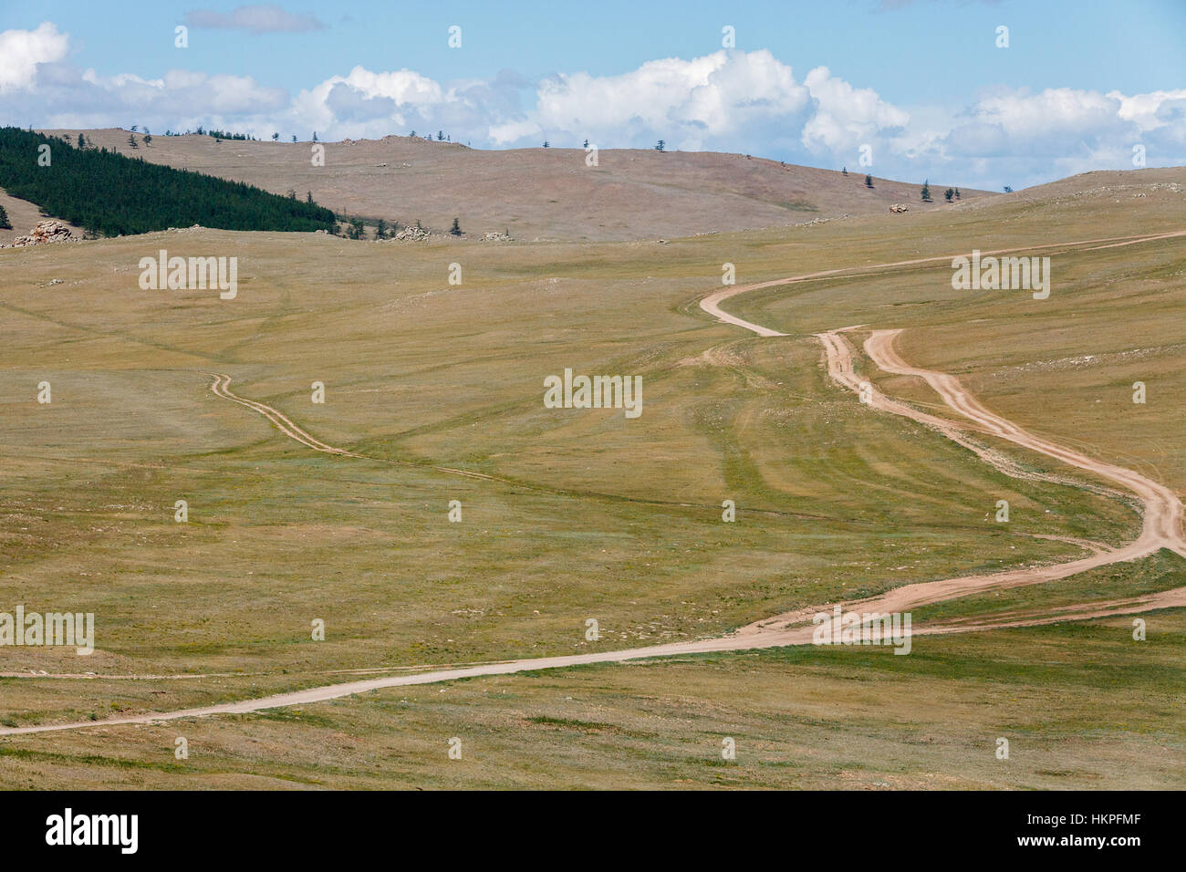 Route de boue dans le cadre d'herbages en Mongolie Banque D'Images