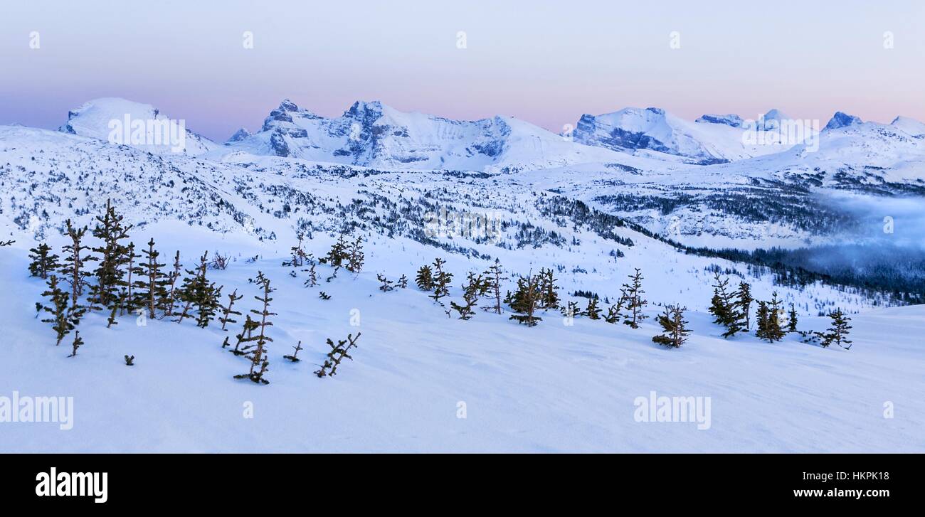 Paysage de montagnes enneigées lointain et l'hiver Coucher de soleil à Spitzkoppe Meadows, dans le parc national Banff, Rocheuses canadiennes Banque D'Images