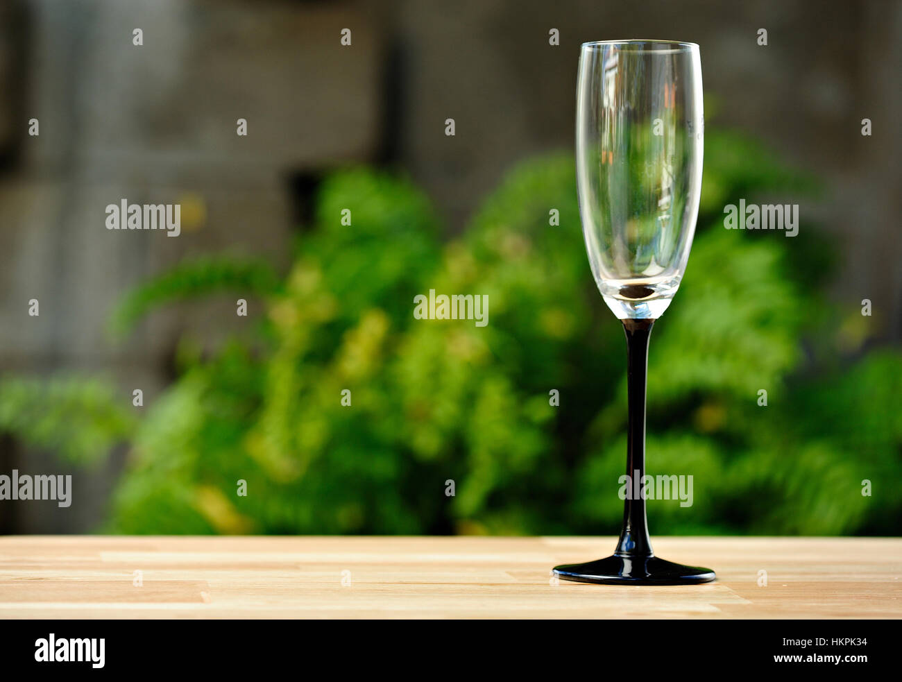 Verre de vin vide avec fond noir sur fond vert Banque D'Images