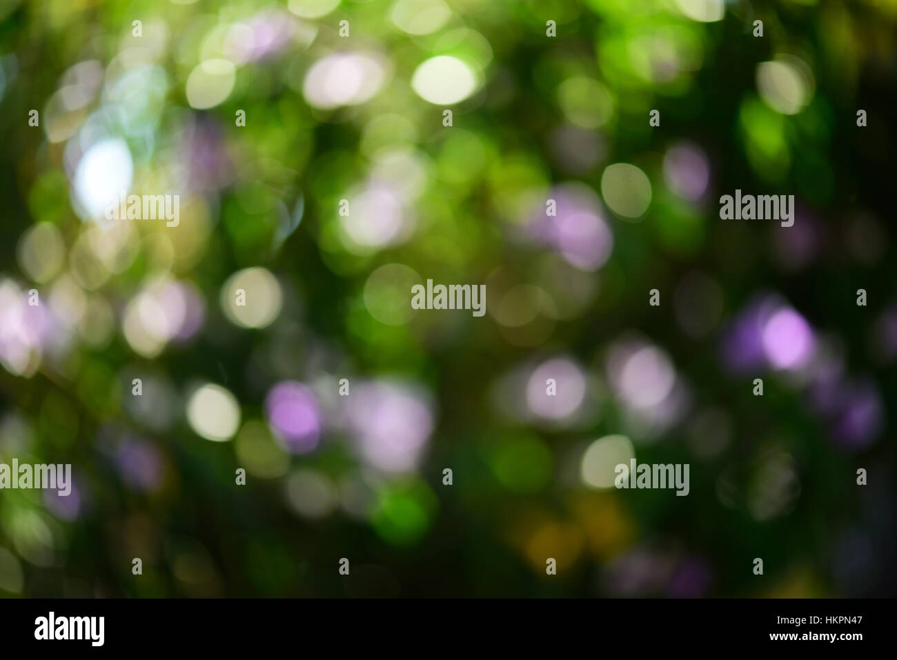 Bokeh rond floue de sparkle cercles colorés nature Banque D'Images