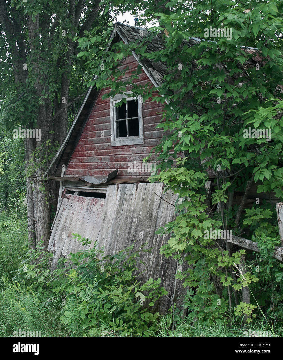 Un vieux bâtiment, depuis longtemps abandonné et envahi par les feuilles et les branches se trouve le long du côté d'une route dans la région de Muskoka Ontario Canada. Pi Banque D'Images