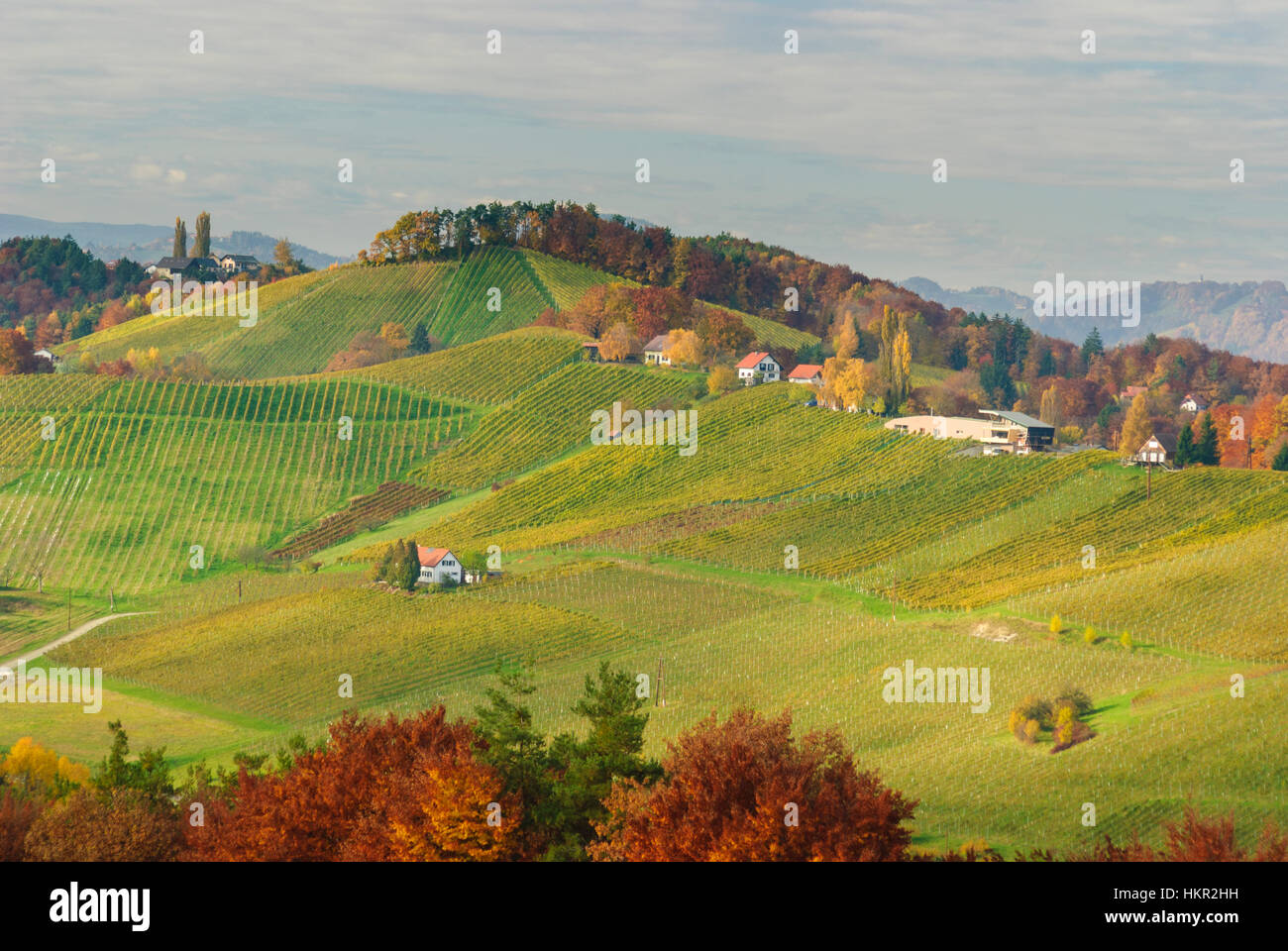 Gamlitz : vignobles - Route des vins du sud de la Styrie, Südwest-Steiermark, Steiermark, Styrie, Autriche Banque D'Images