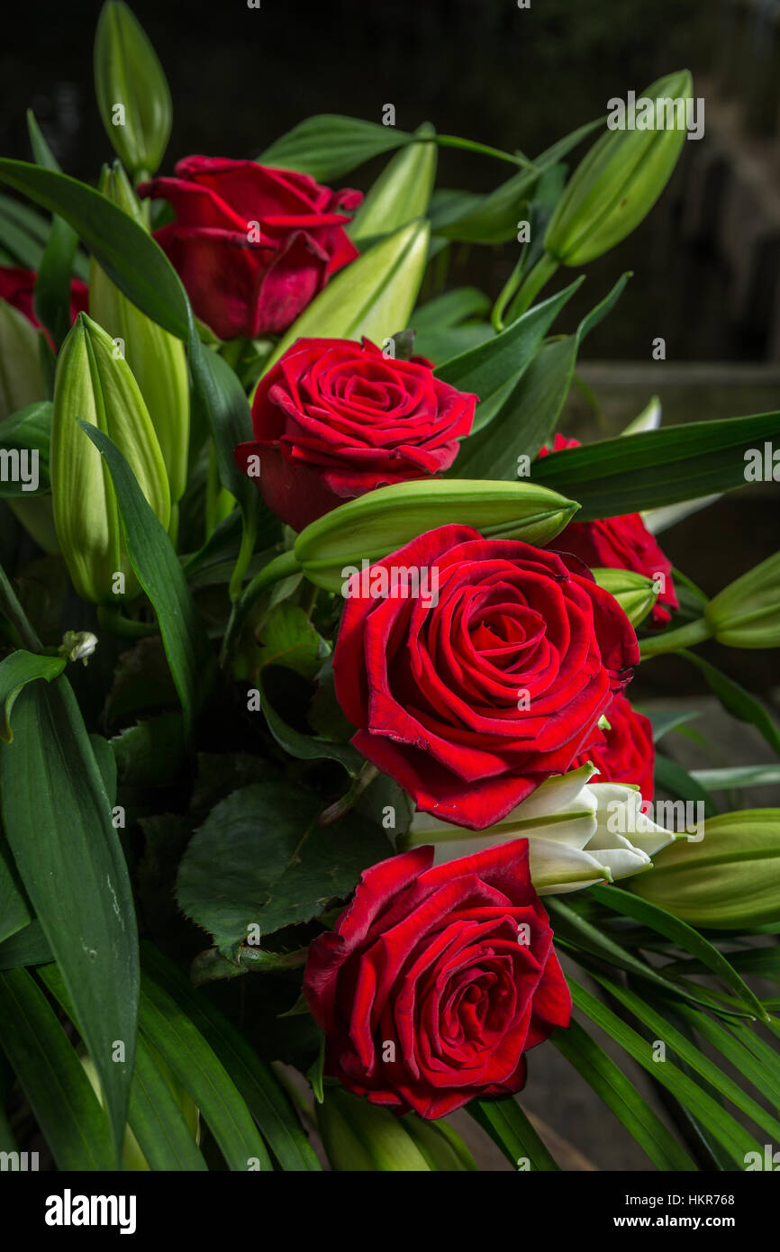 Roses rouges, des lys et des fleurs de palmier Banque D'Images