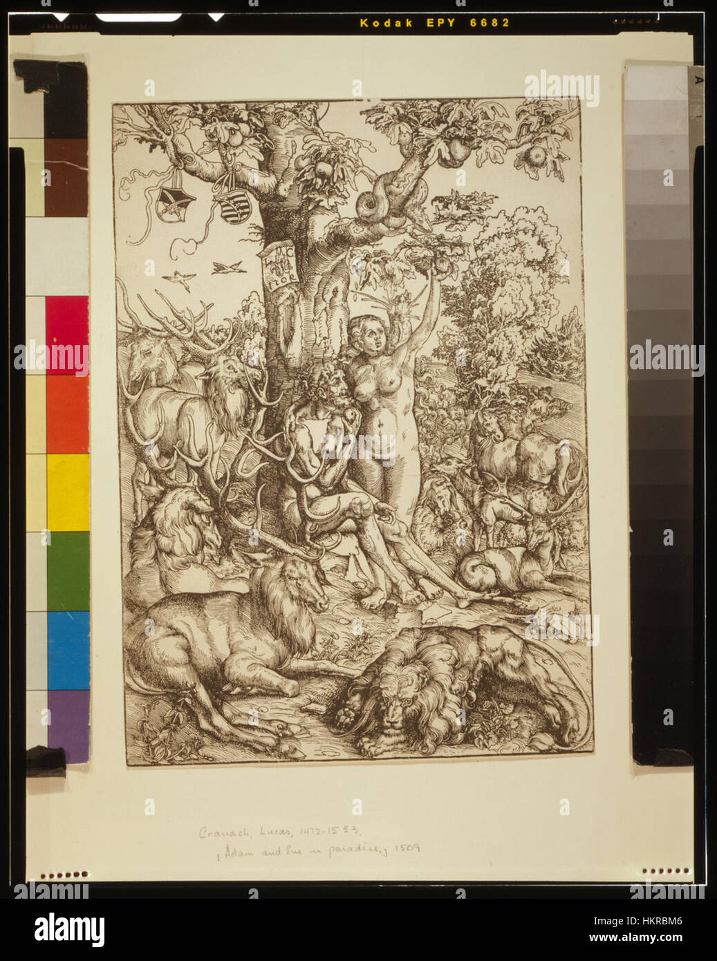 Adam et Ève au Paradis, une œuvre d'art biblique représentant les premiers humains dans le jardin d'Éden, créée comme une représentation de l'innocence et de la beauté au milieu de la nature, reflétant l'approche de l'artiste face aux thèmes religieux et au récit historique dans l'art. Banque D'Images