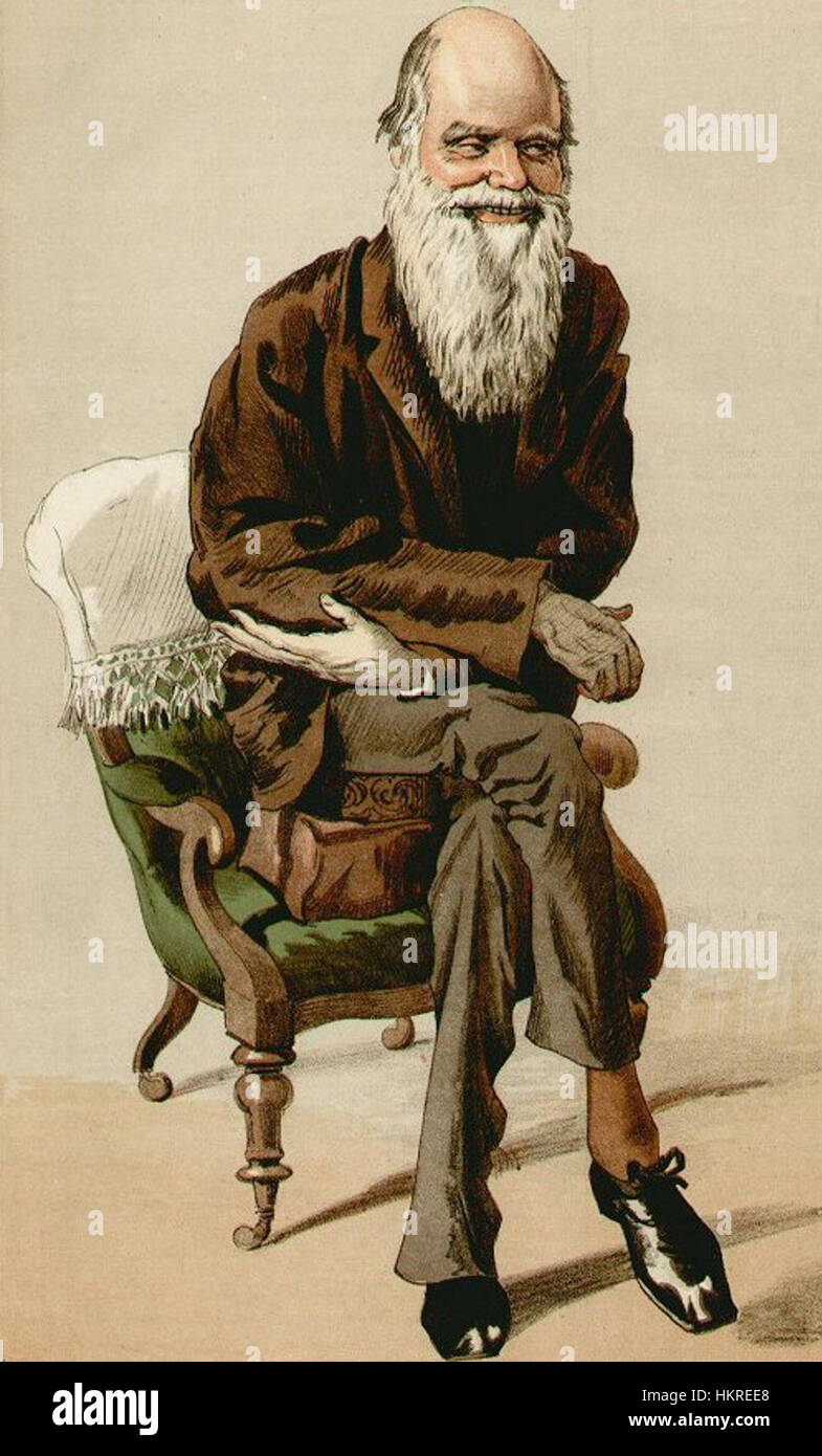 Ce portrait de Charles Darwin en 1871 capture le naturaliste britannique renommé connu pour sa théorie révolutionnaire de l'évolution. La peinture reflète la stature et la profondeur intellectuelle de l'influence de Darwin sur la science et l'histoire naturelle. Banque D'Images