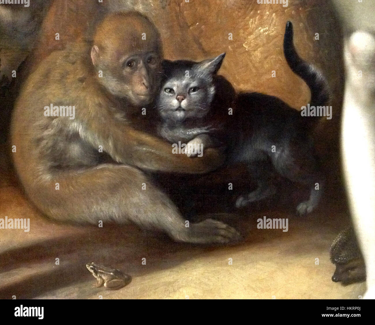 Le Singe Et Le Chat Banque D Image Et Photos Alamy Le Singe Et Le Chat Banque D Image Et Photos Alamy