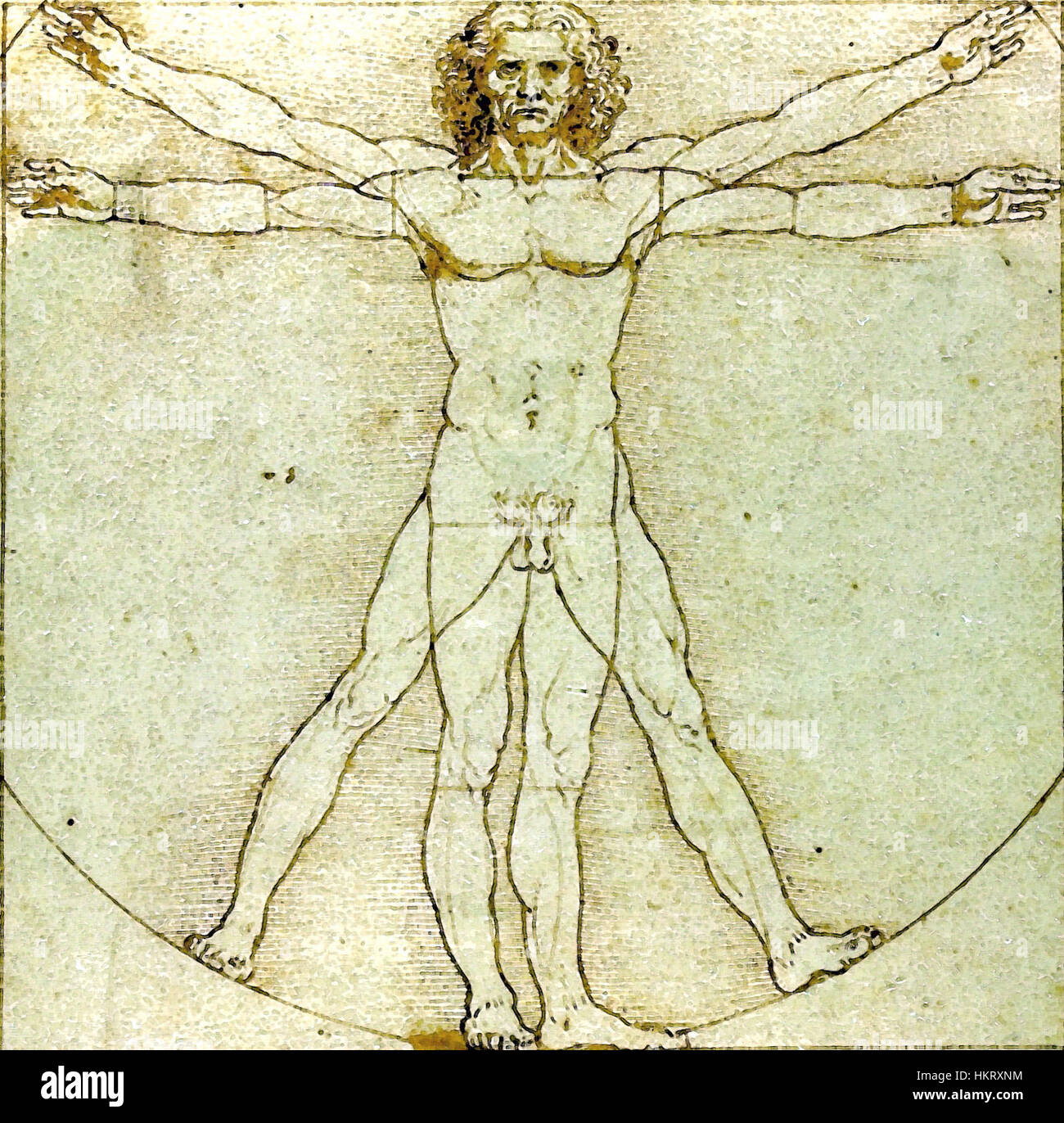 L'homme vitruvien de Léonard de Vinci est un dessin renommé qui illustre les proportions du corps humain, basé sur les principes de Vitruve. L'œuvre montre la compréhension de da Vinci de l'anatomie et sa capacité à combiner art et science. Banque D'Images