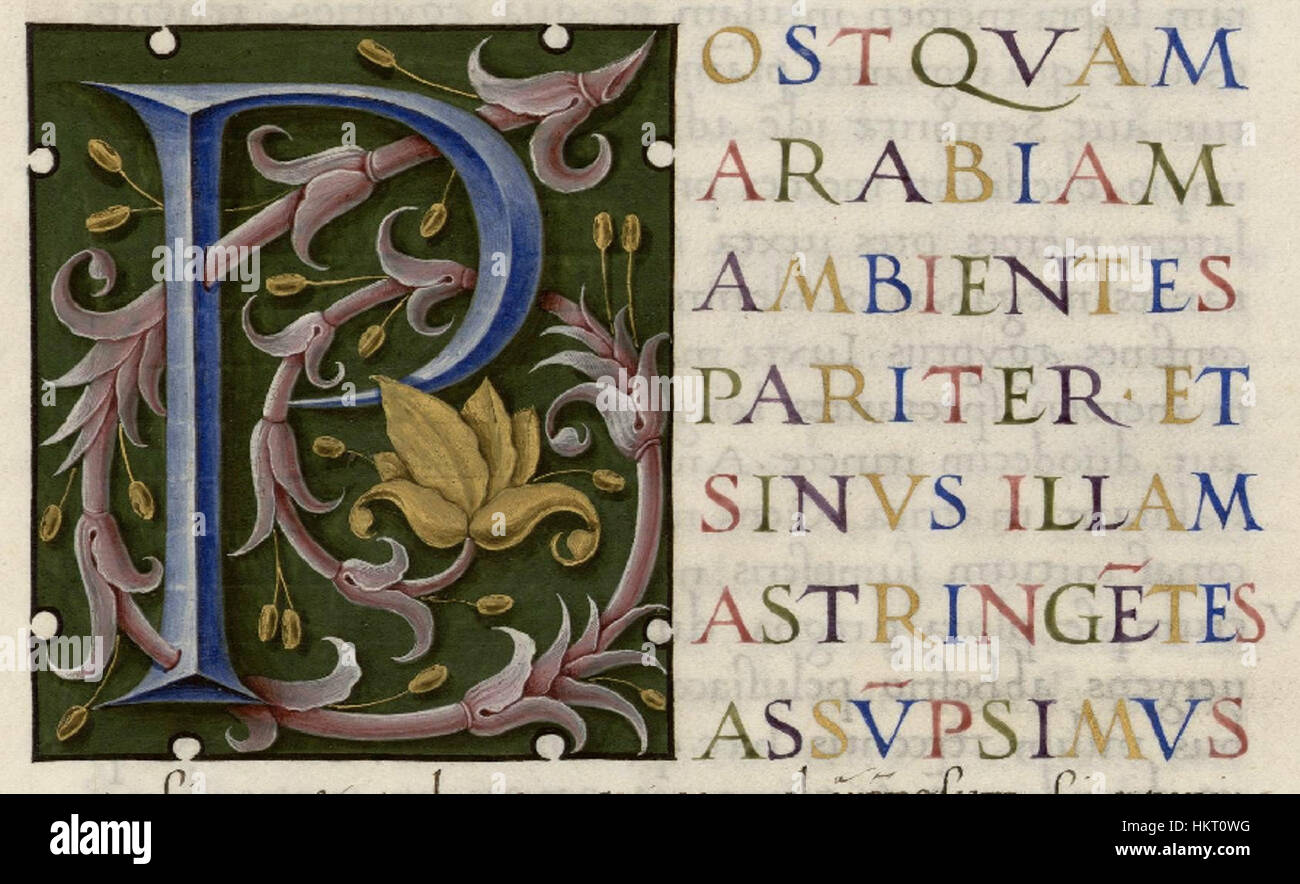 Ce manuscrit enluminé, 'de situ orbis', de la collection de manuscrits d'Albi, comprend une lettre détaillée 'P' (Lettrine P) et a été créé à l'époque médiévale. Le manuscrit représente la cartographie historique et les premières études géographiques du monde. Banque D'Images