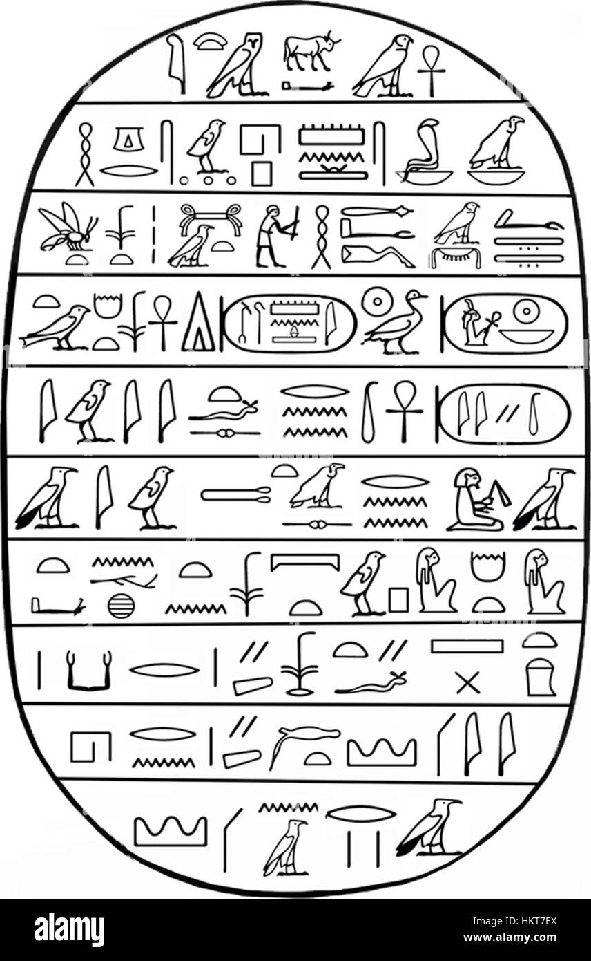 Ce scarabée égyptien, catalogué Walters 42206, commémore le règne d'Amenhotep III. le motif symbolise les réalisations et le pouvoir du roi, reflétant les traditions culturelles et artistiques de l'Égypte ancienne. Banque D'Images