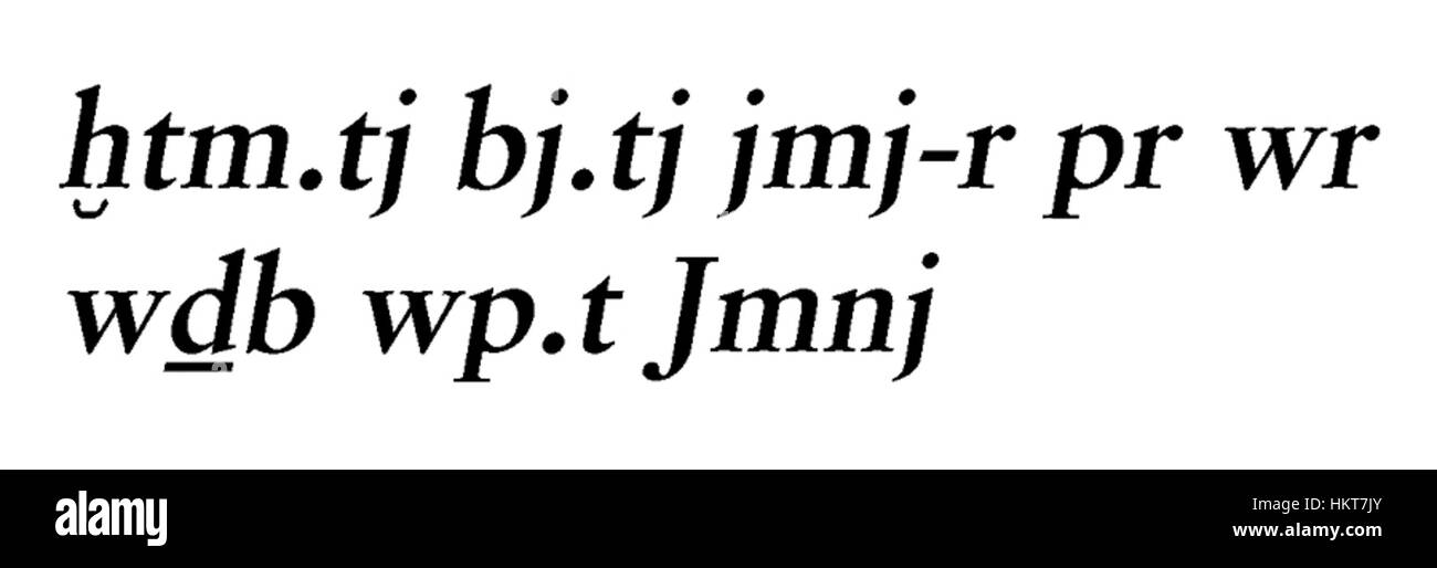 Ce scarabée égyptien, identifié comme le 'Scarabe d'Imeni' et catalogué comme Walters 4221, est un artefact de l'Egypte ancienne. Les inscriptions du scarabée donnent un aperçu de la culture égyptienne, souvent utilisée comme amulettes ou sceaux, offrant un contexte historique de la période du nouvel Empire. Banque D'Images