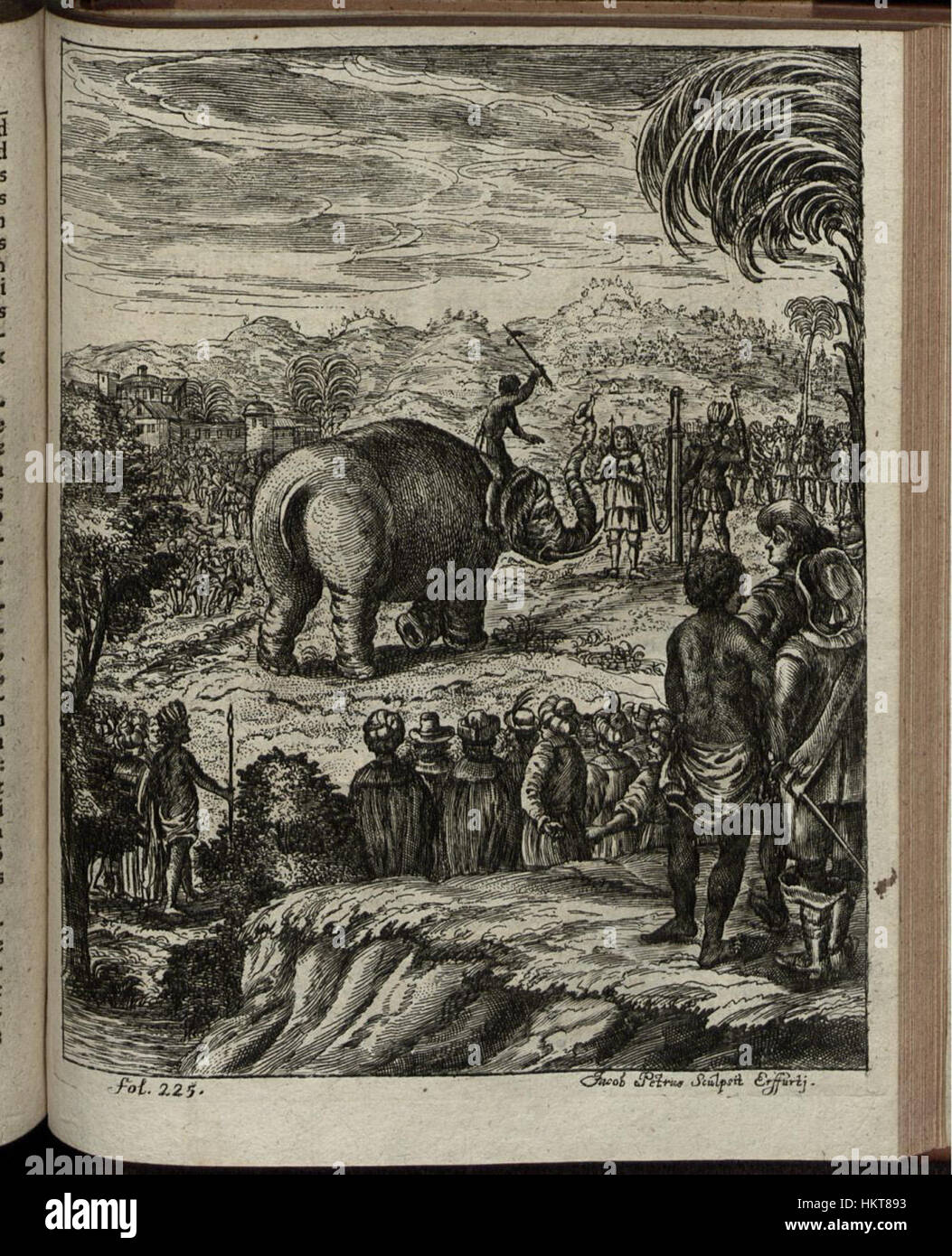 Une illustration antique de *Elephantographia Curiosa*, représentant une représentation détaillée et artistique des éléphants, mettant en valeur l’interprétation artistique unique de ces animaux majestueux. Banque D'Images