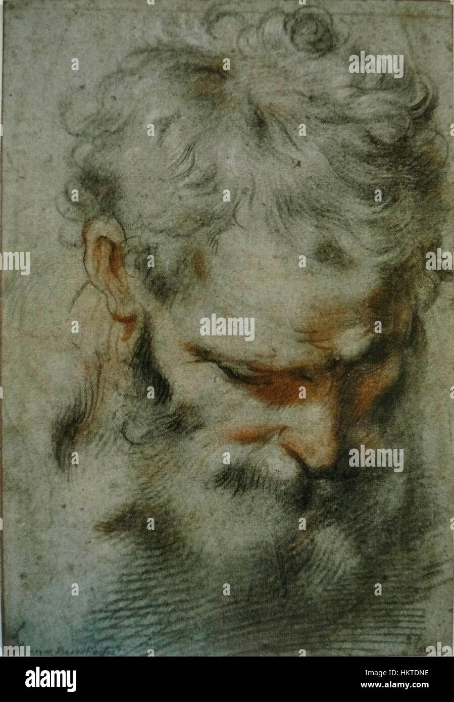 « Saint Joseph » de Federico Barocci est une peinture à l'huile représentant la figure biblique de Saint Joseph, connu pour sa douce représentation et l'utilisation de la lumière et de la couleur par Barocci pour renforcer la présence sereine de la figure. Banque D'Images