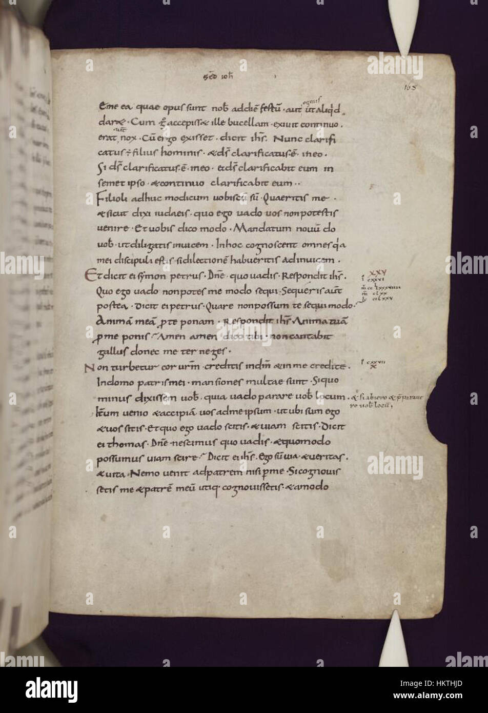 Ce manuscrit, qui fait partie de la collection des bibliothèques Bodléiennes, contient un évangile latin du XIe siècle. Le scénario détaillé et les illustrations complexes reflètent les pratiques artistiques et religieuses de l'Europe médiévale. Banque D'Images