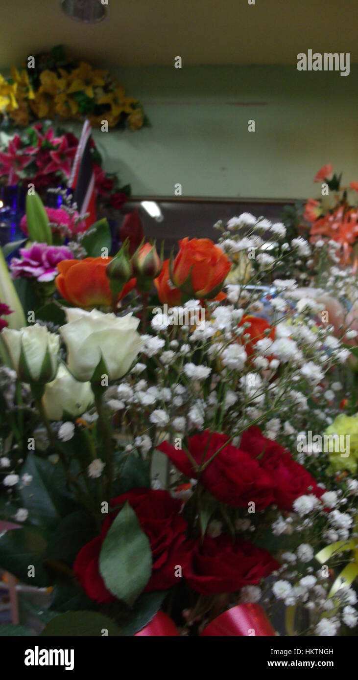 Un bouquet de bébé Banque D'Images