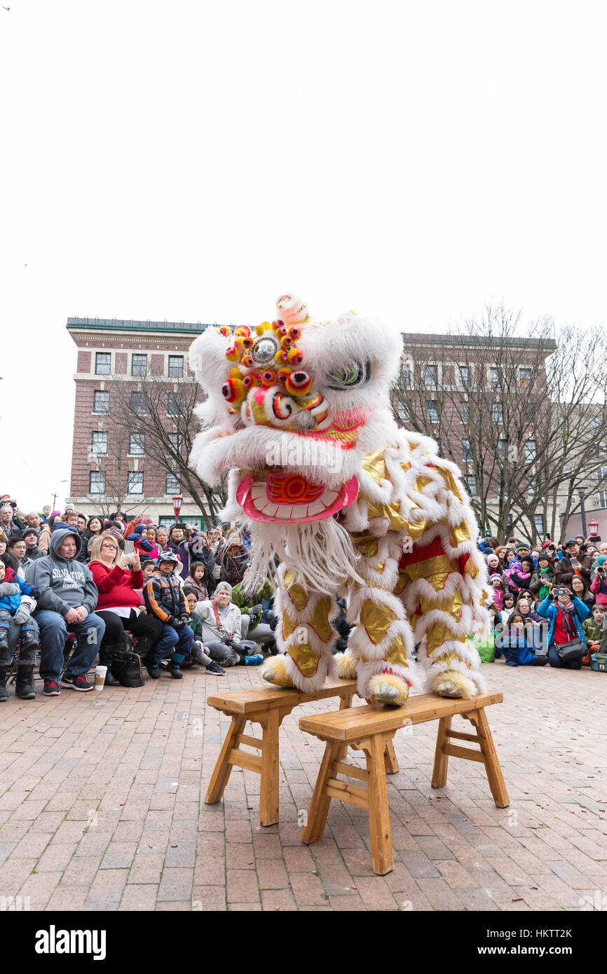 Seattle, USA. 29 janvier 2017. Les membres de la fai Mak Club Kung Fu effectuer une danse du lion lors de la célébration du Nouvel An lunaire 2017 Chinatown-International dans le district. Crédit : Paul Gordon/Alamy Live News Banque D'Images