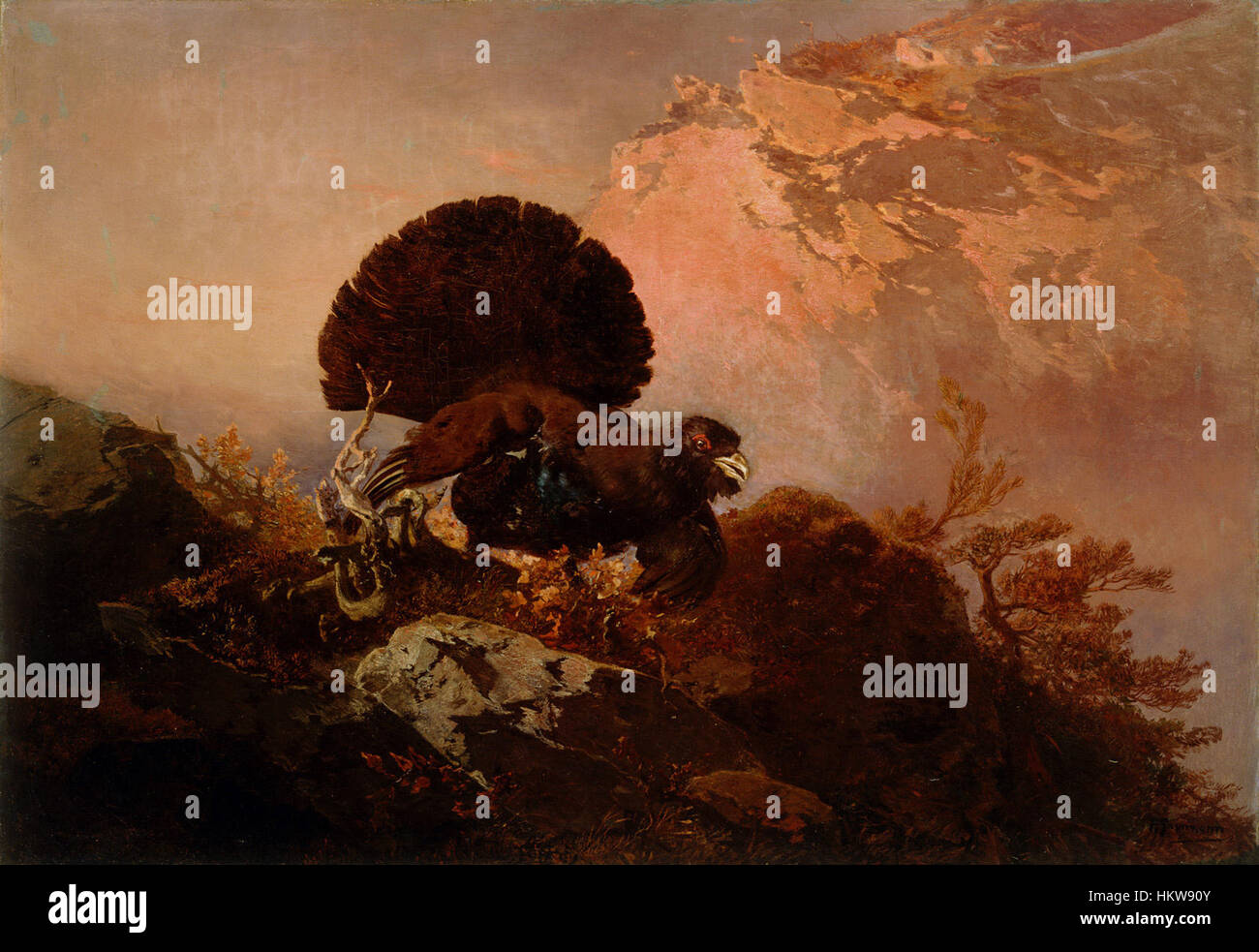 Le « Divji Petelin » (coq sauvage) de Friedrich Gauermann est une peinture du XIXe siècle qui met en valeur le talent de l'artiste pour capturer des animaux dans des environnements naturalistes. La pièce souligne les plumes vibrantes et le mouvement dynamique du coq, caractéristiques du style réaliste de Gauermann. Banque D'Images