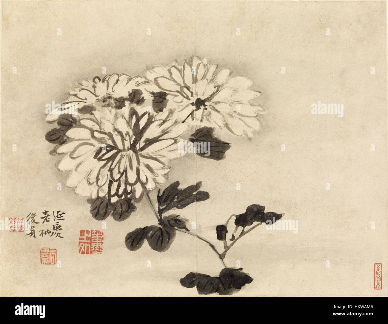 Une œuvre classique de Gao Qipei, représentant des chrysanthèmes avec des détails complexes. Cette pièce, logée au Walters Art Museum, met en valeur l'habileté de l'artiste à dépeindre la nature à travers des coups de pinceau fluides et des ombres délicates. Le thème floral reflète l'art traditionnel chinois, mêlant naturalisme et interprétation artistique. Banque D'Images