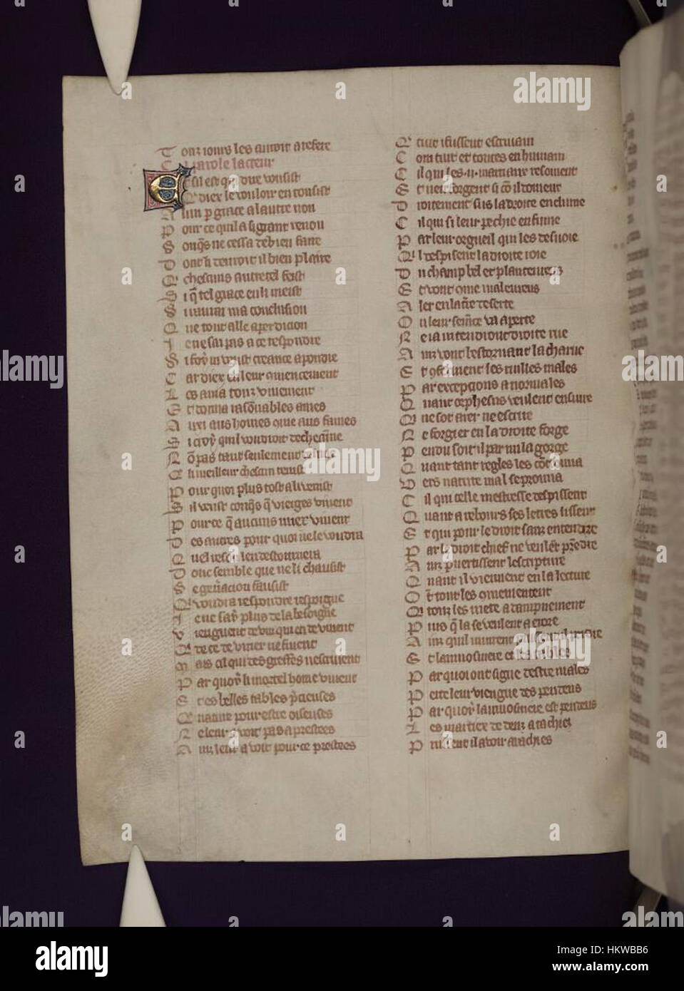 Le manuscrit « le Roman de la Rose », conservé aux bibliothèques Bodléiennes, présente une illustration sur le folio 138v représentant l'amour courtois médiéval. Cette œuvre littéraire a eu une influence majeure sur la littérature européenne au cours des XIIIe et XIVe siècles. Banque D'Images