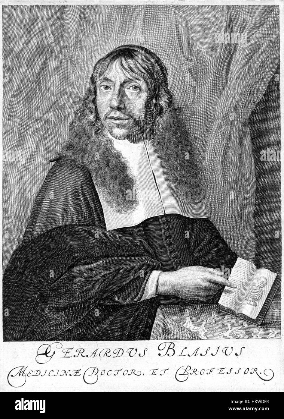 Gerardus Leonardus Blasius (1625-1695) est un artiste néerlandais connu pour ses illustrations botaniques détaillées et ses contributions au domaine de l'histoire naturelle. Ses œuvres mettent en valeur les subtilités délicates des plantes et des fleurs, reflétant son attention méticuleuse aux détails. Banque D'Images