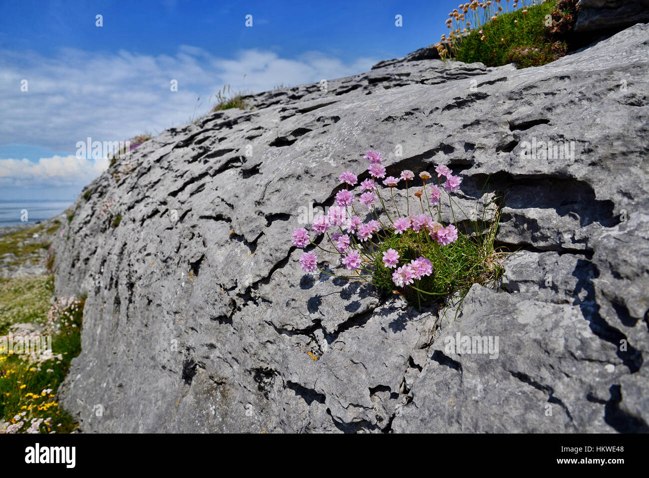 Le paysage rocheux du Burren sur la côte ouest de l'Irlande Banque D'Images