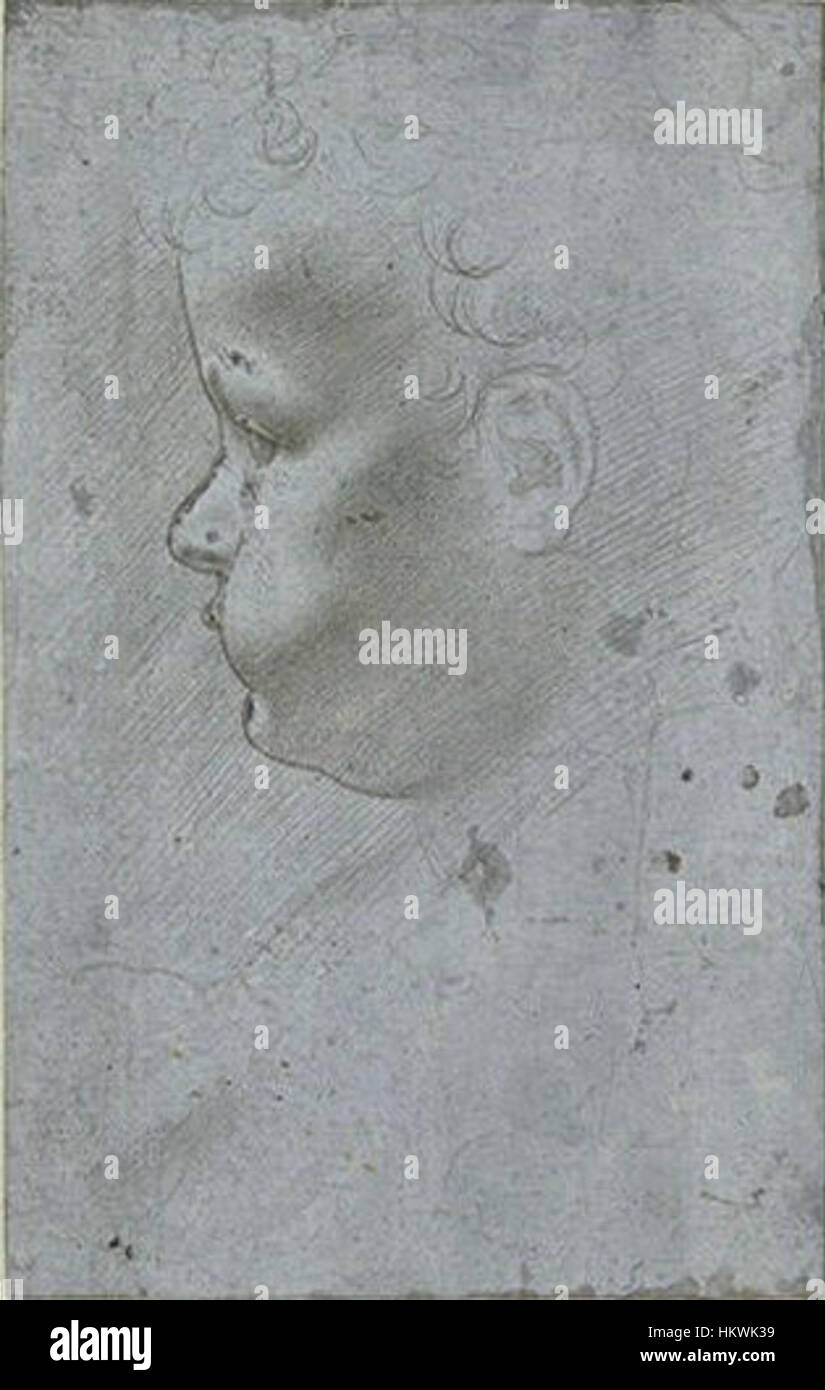 Une œuvre de Giovanni Antonio Boltraffio du Codex Vallardi 2350, illustrant sa technique artistique détaillée et raffinée pendant la Renaissance. Banque D'Images