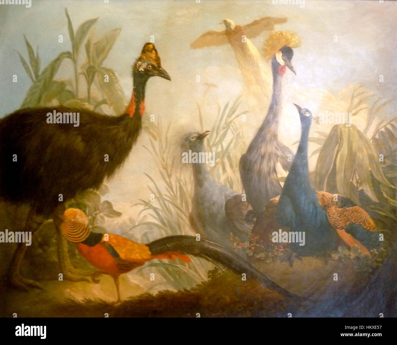 Une peinture détaillée de divers oiseaux, soulignant leurs traits distinctifs et plumage vibrant. Cette pièce reflète l’habileté de l’artiste à capturer la beauté délicate de la vie aviaire. Banque D'Images