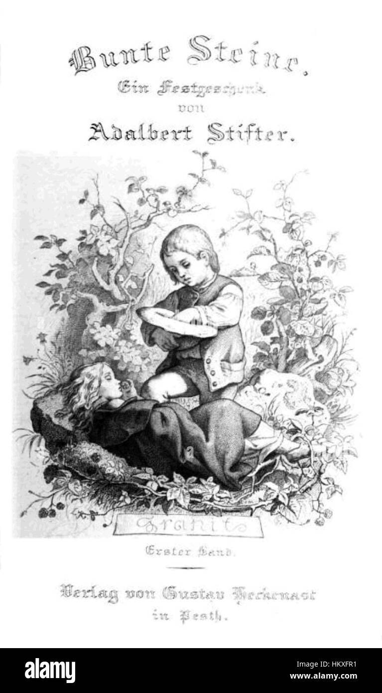 Bunte Steine est un frontispice illustré coloré du premier volume d'un livre d'histoire naturelle, représentant diverses pierres précieuses et minéraux. L'œuvre présente un enregistrement visuel vibrant de spécimens géologiques, reflétant l'accent mis par le livre sur le monde naturel. Banque D'Images