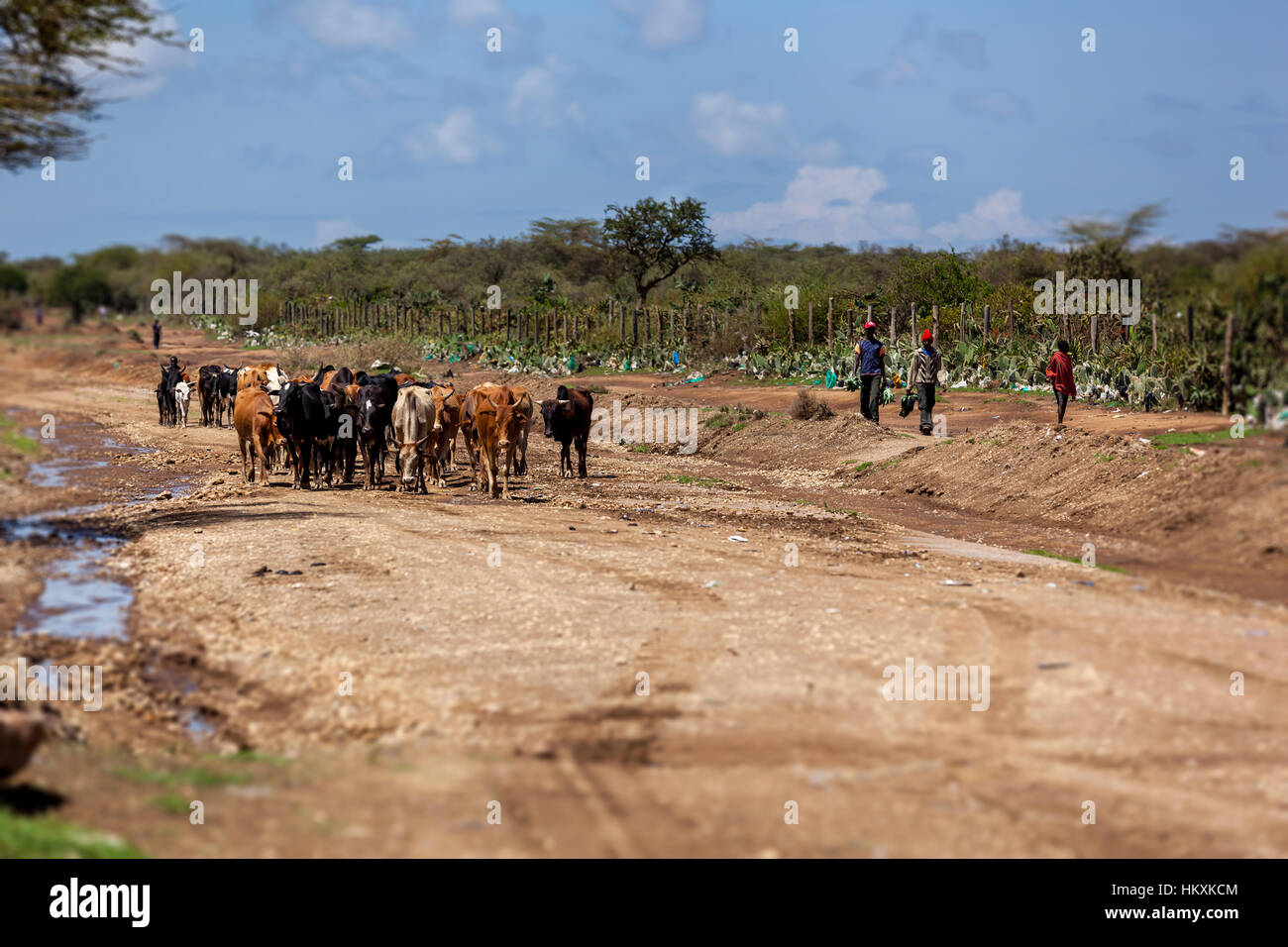 Le Masai Mara, Kenya - 02 janvier : Inconnu enfant africain au Kenya, le peuple noir, les enfants pauvres Banque D'Images