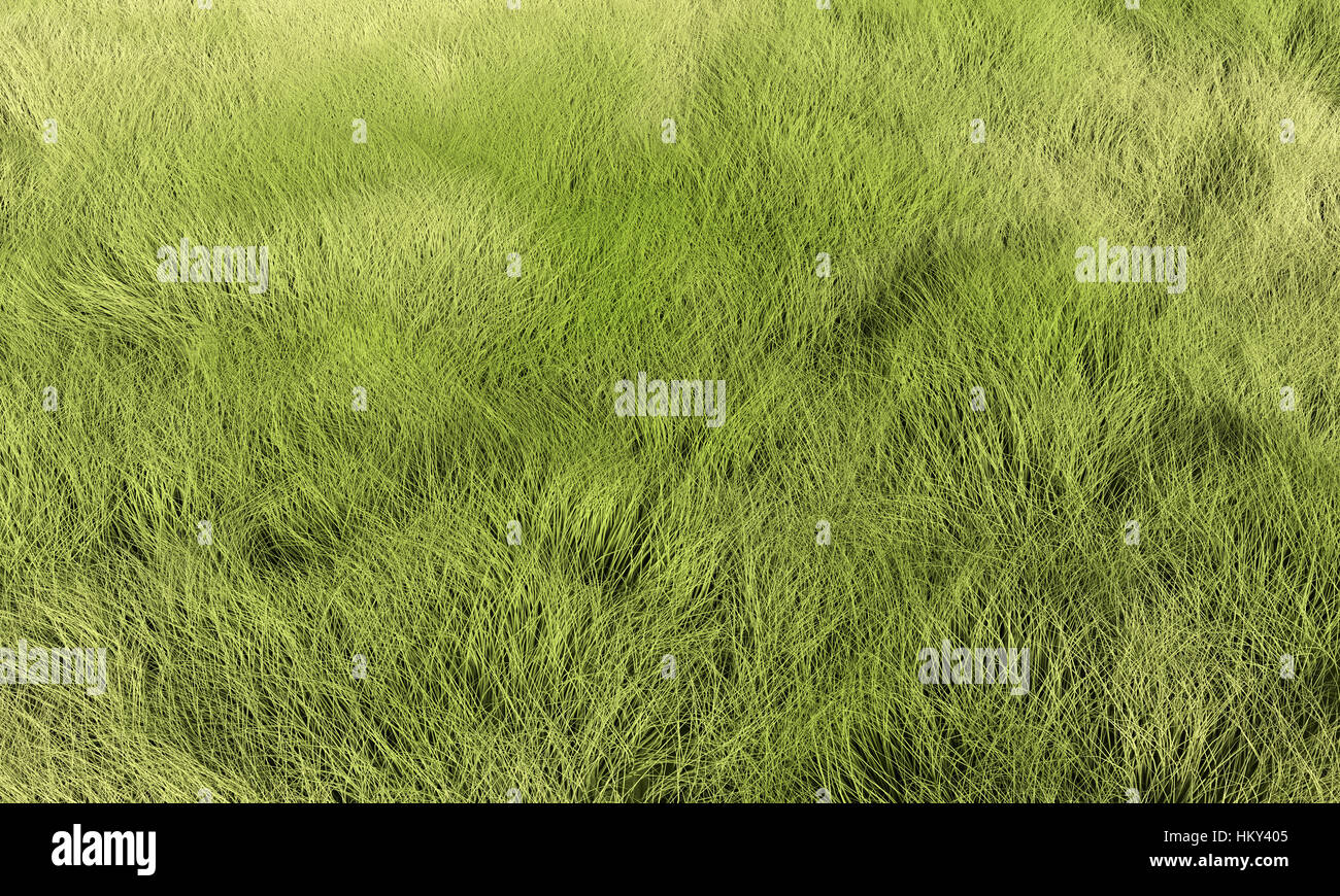 L'herbe, le gazon ou prairie arrière-plan. Rendre la texture dans une qualité dans n'importe quelle partie. Banque D'Images