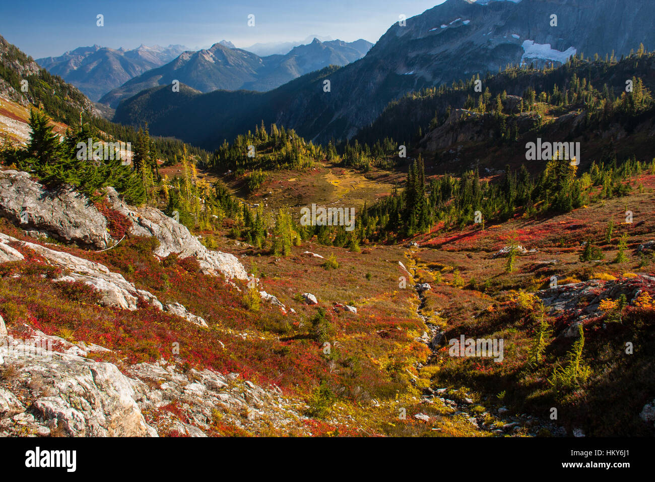 Couleur d'automne de la vallée du ruisseau du Parc et le parc Creek Pass in North Cascades National Park, Washington. Banque D'Images