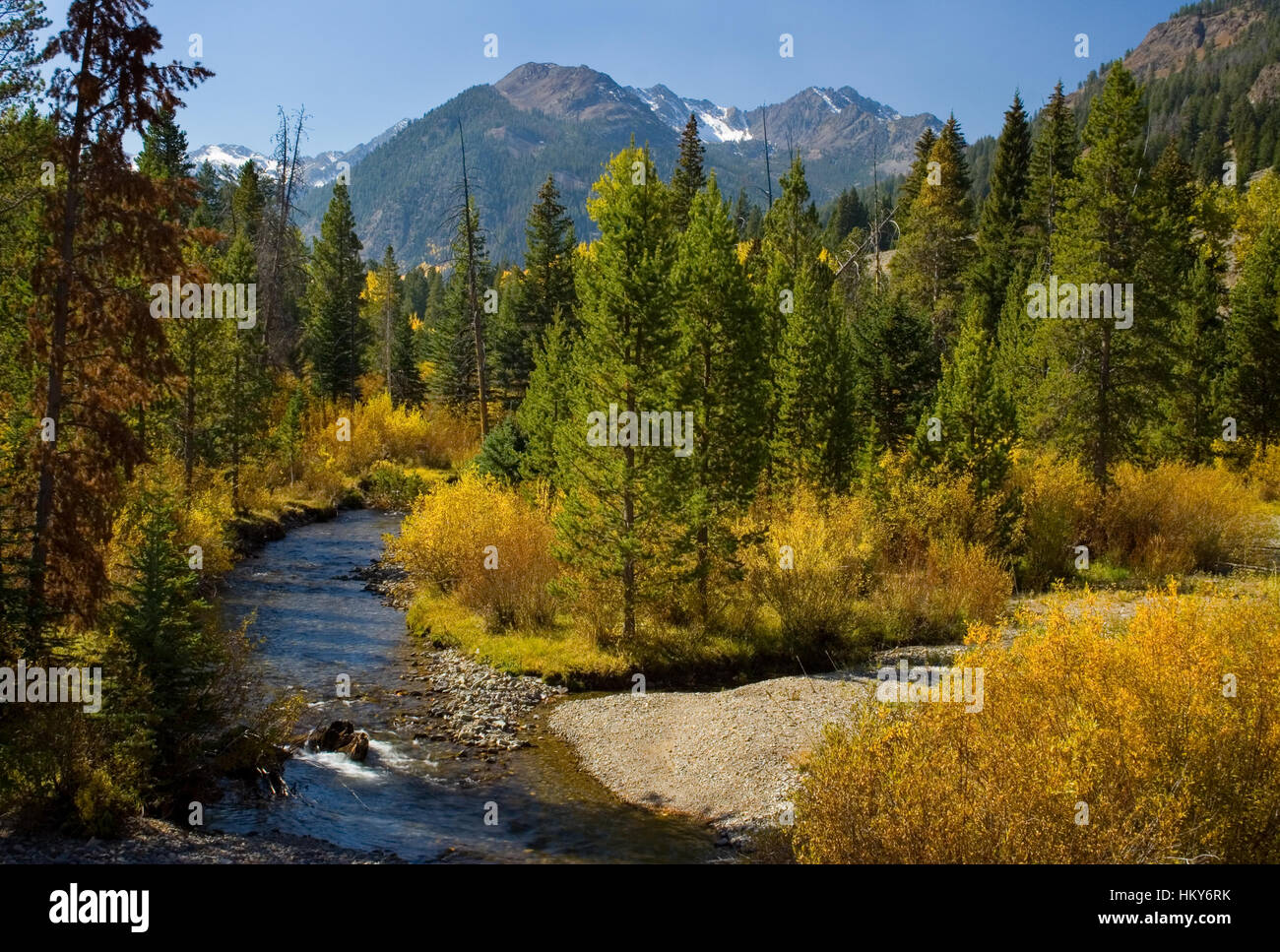 La branche est du rivière à saumons de l'automne. Cette image a été prise à partir de la piste et est proposé nature sauvage. Ce sentier motorisé sera fermé à cette utilisation si le Banque D'Images